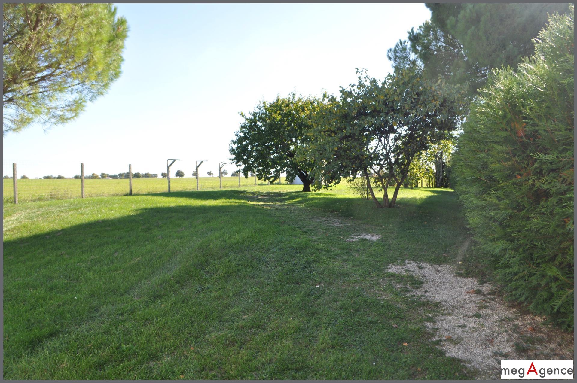 Miniature photo - 14 / 14