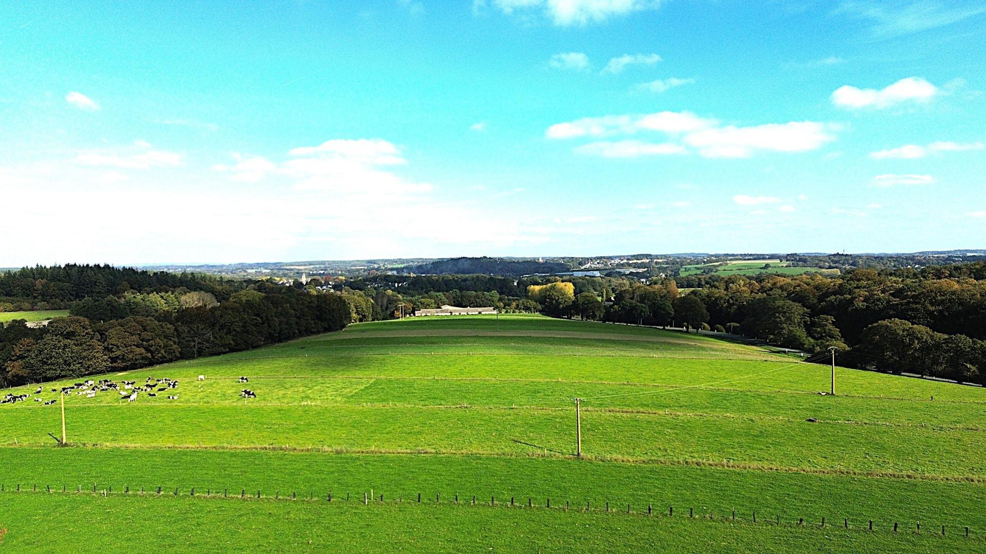 Miniature photo - 14 / 15