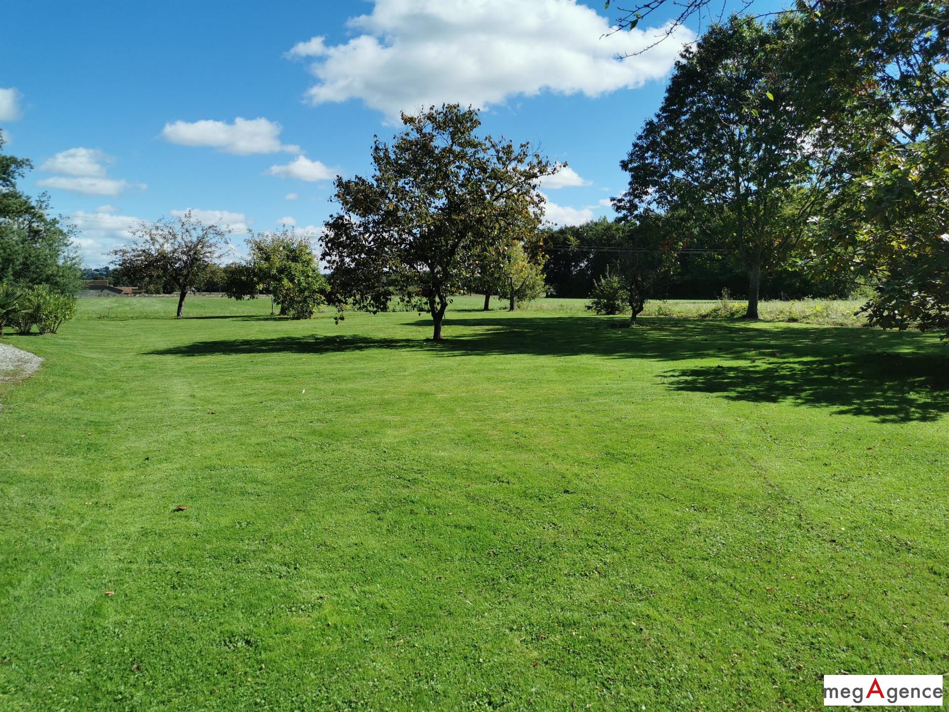 Miniature photo - 14 / 16