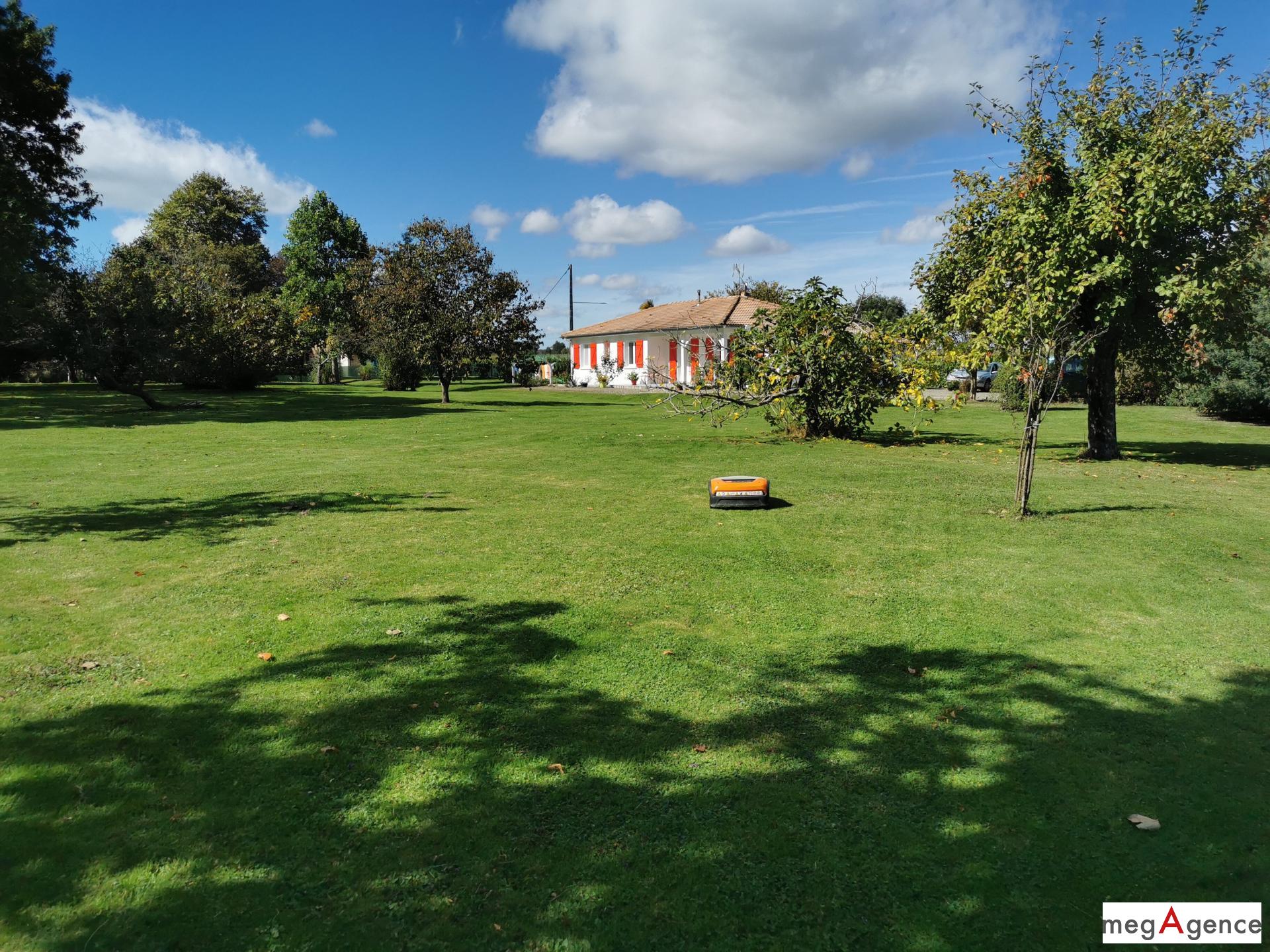 Miniature photo - 13 / 16