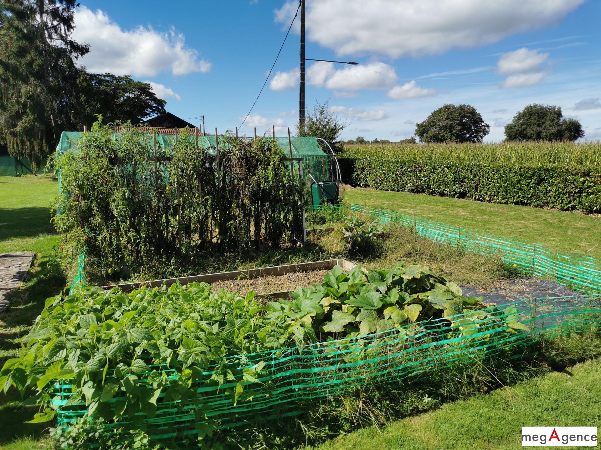 Miniature photo - 15 / 16