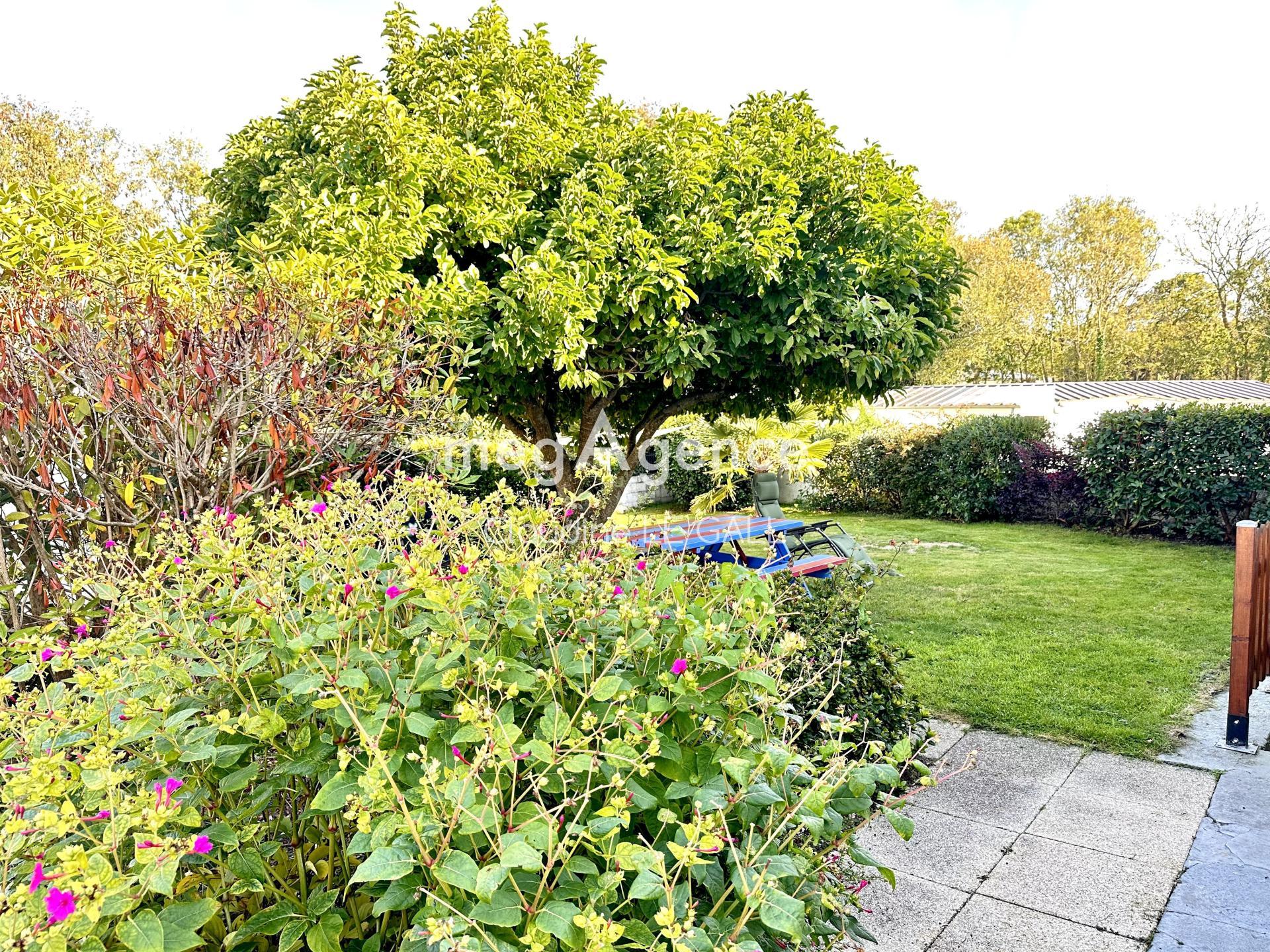 Miniature photo - 2 / 2