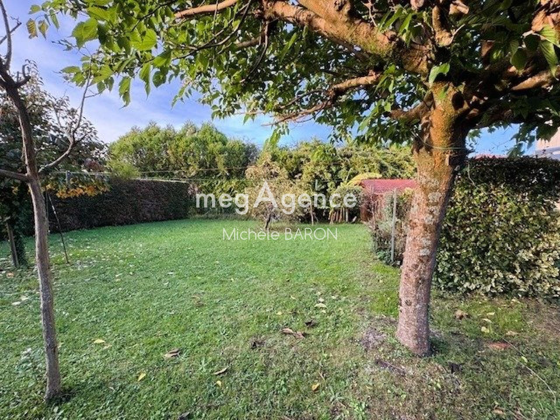 Miniature photo - 11 / 11