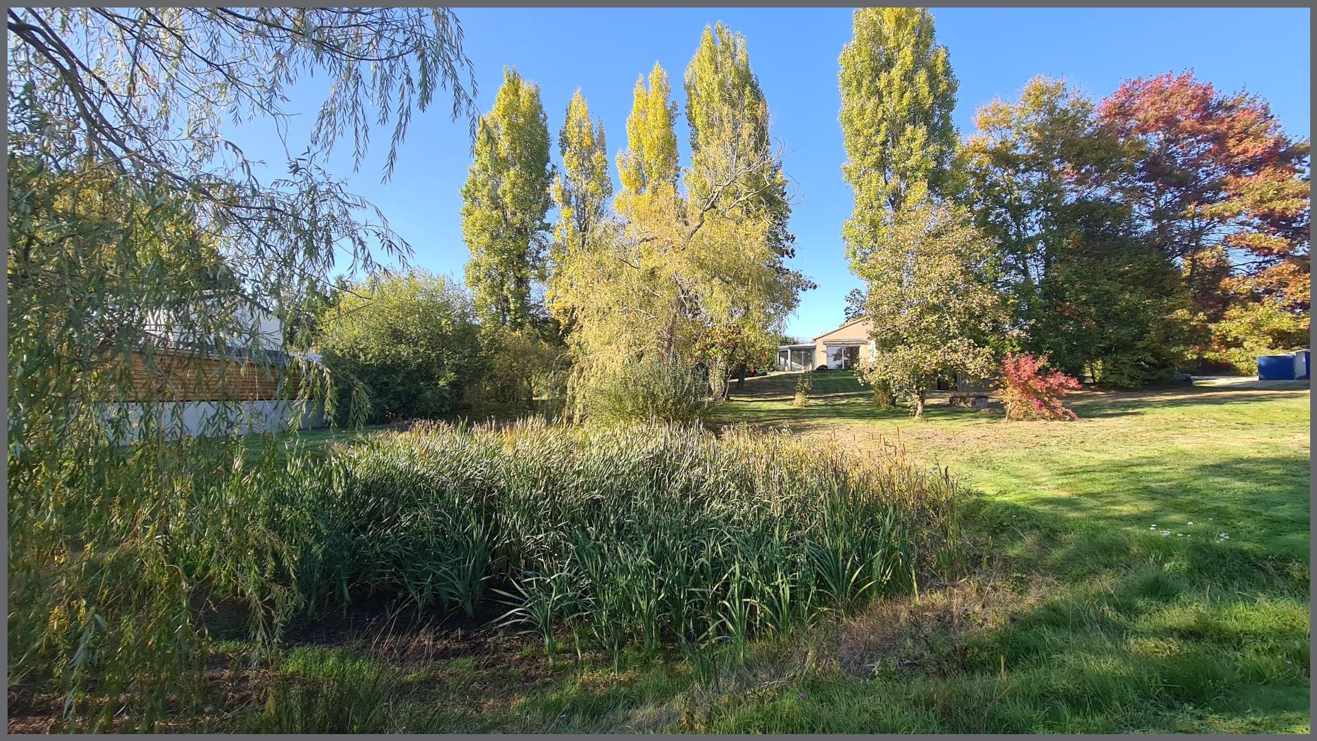 Miniature photo - 7 / 17