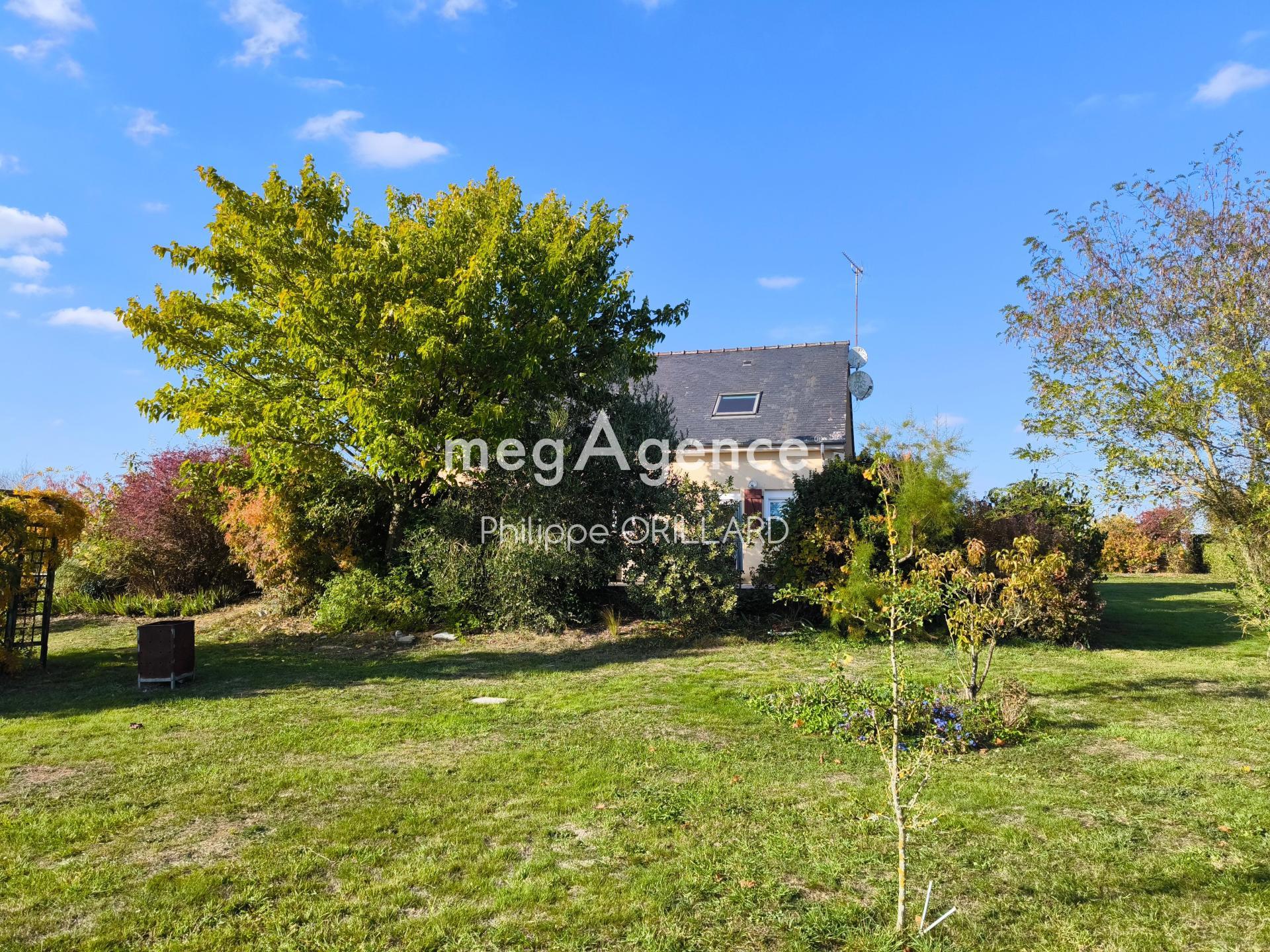 Miniature photo - 10 / 11