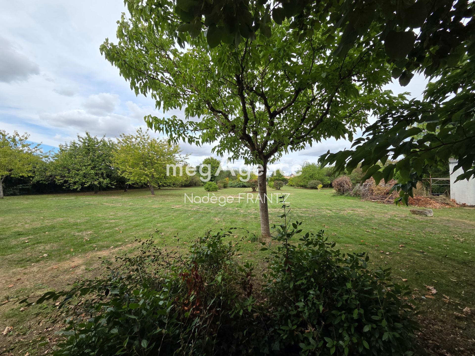 Miniature photo - 2 / 6