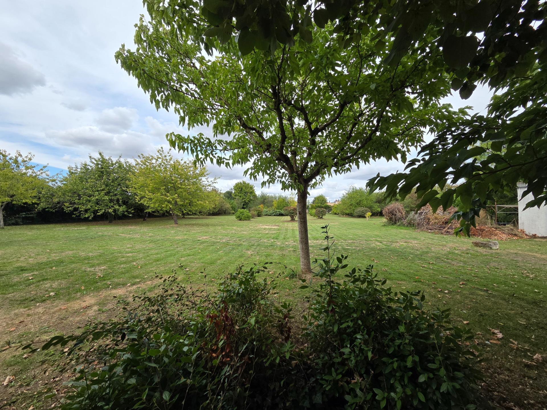 Miniature photo - 2 / 6