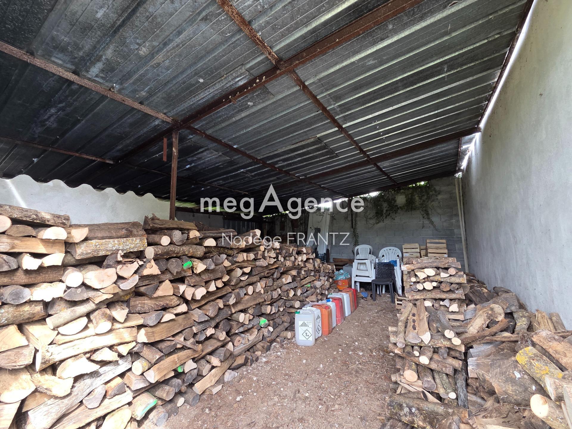 Miniature photo - 6 / 6