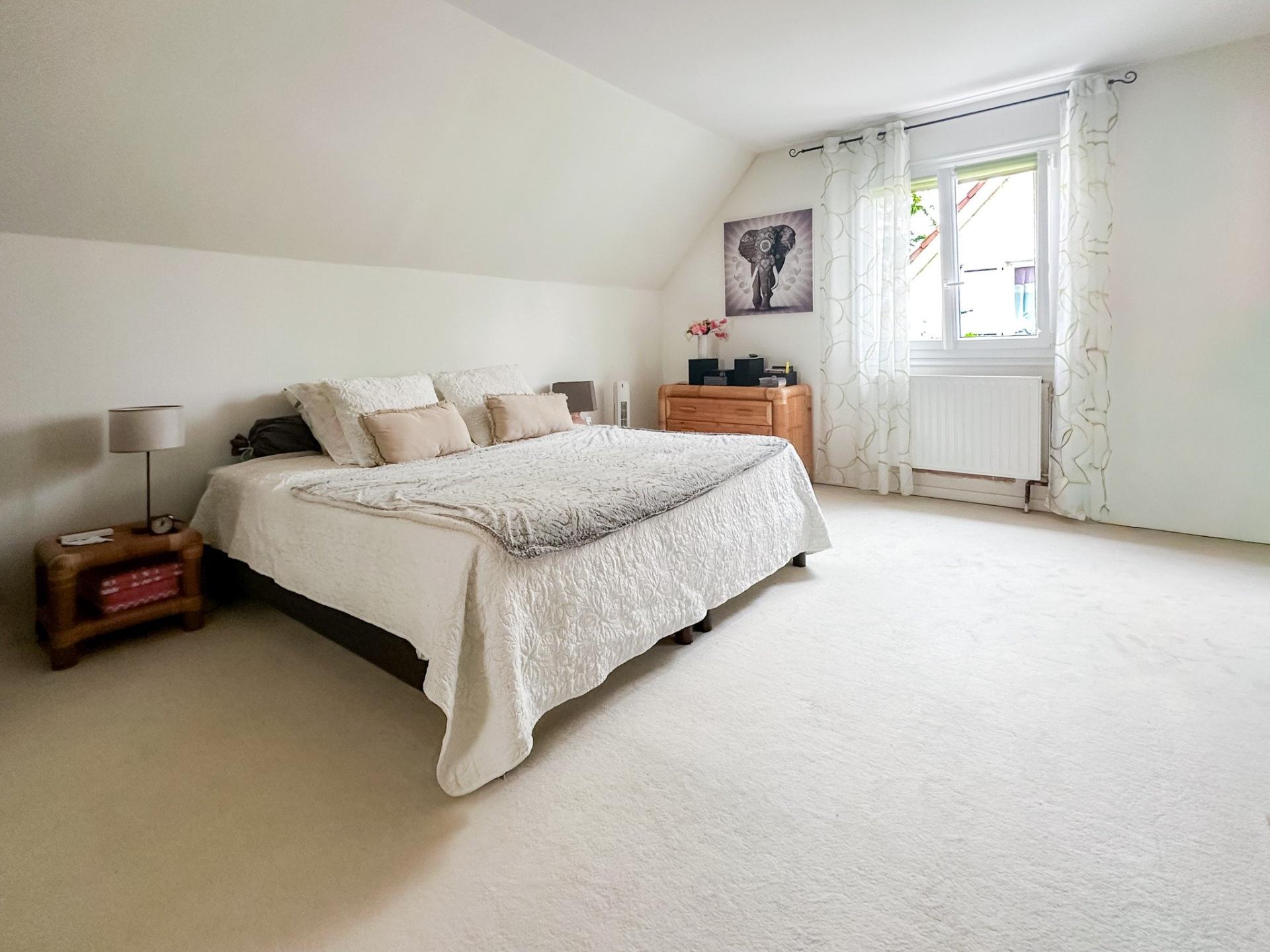 Miniature photo - 11 / 13