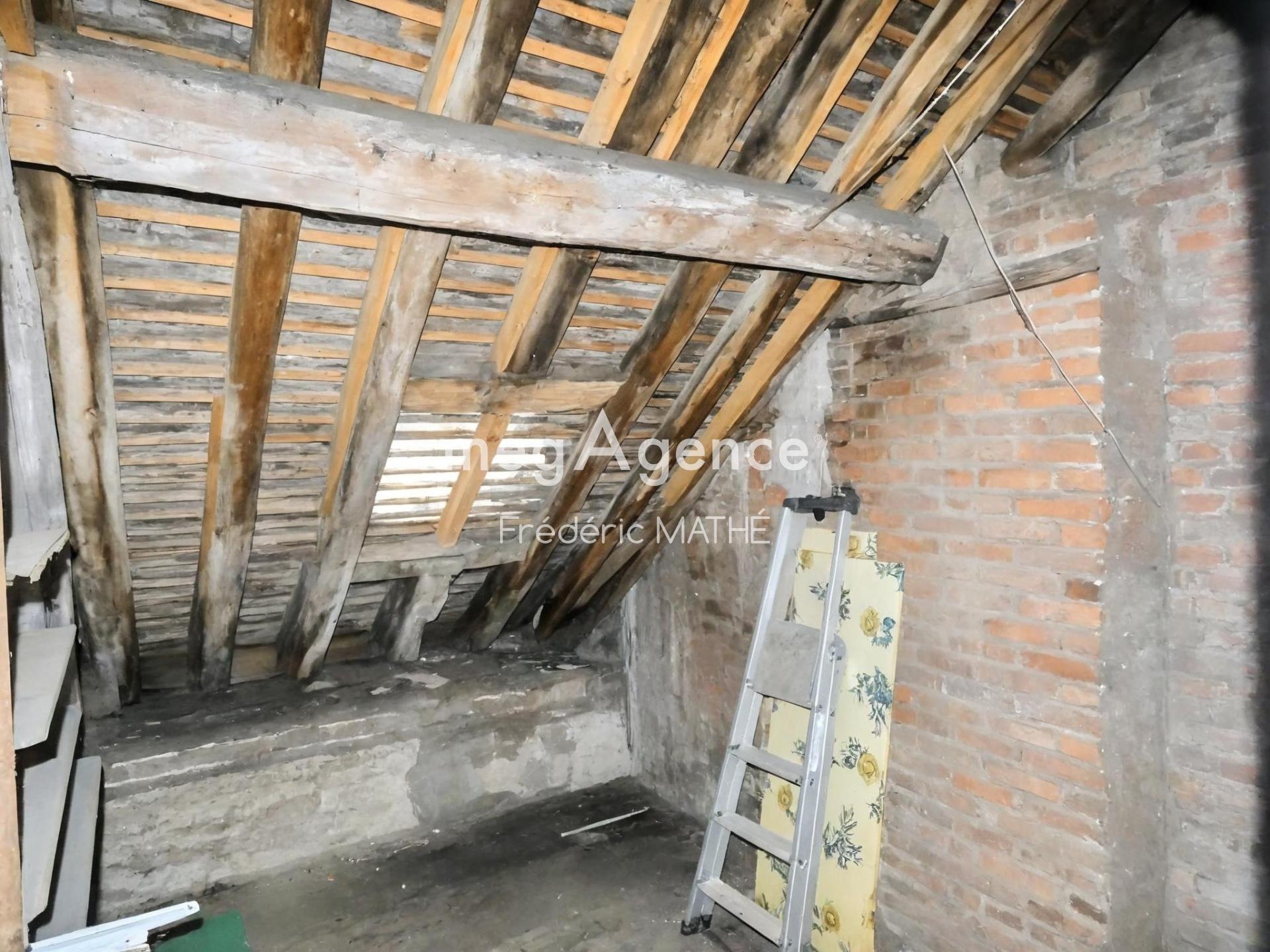 Miniature photo - 8 / 8