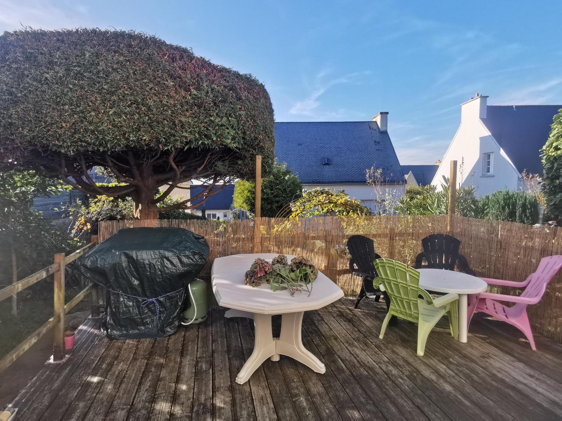 Miniature photo - 4 / 14