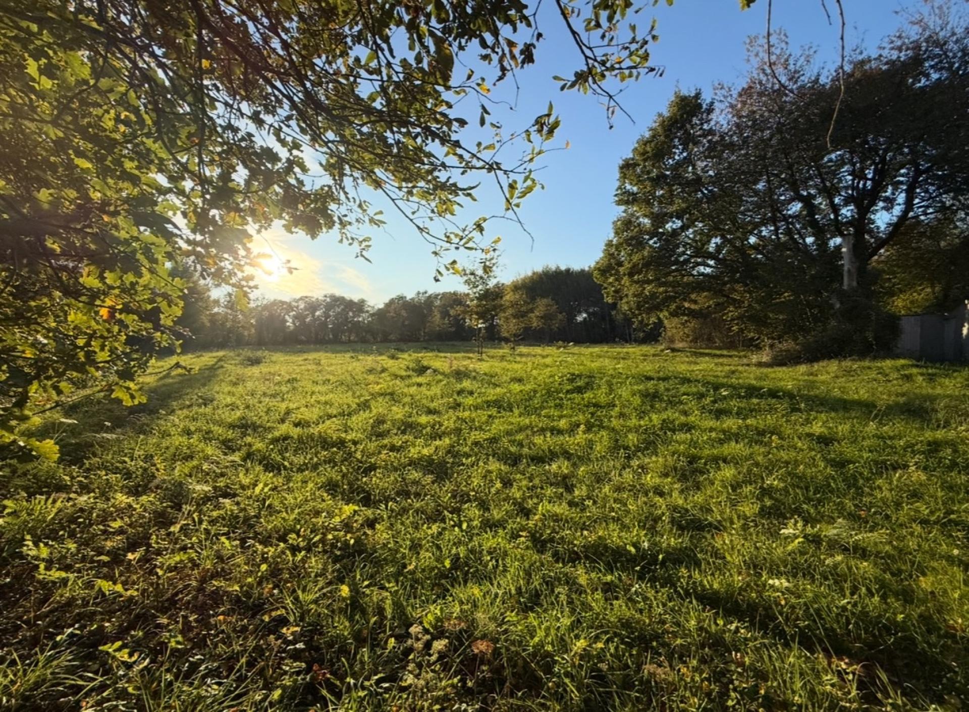 Miniature photo - 3 / 6