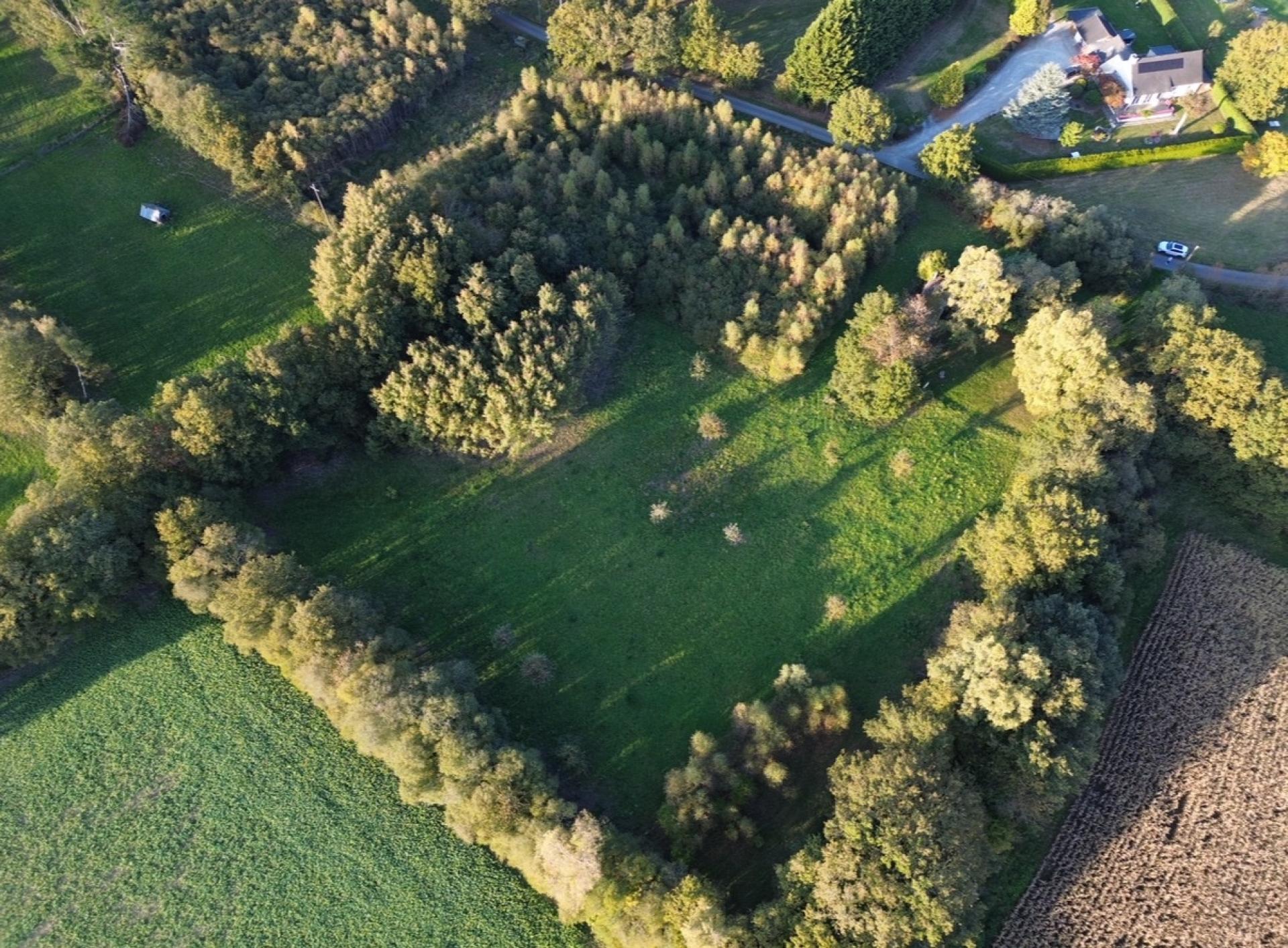 Miniature photo - 2 / 6