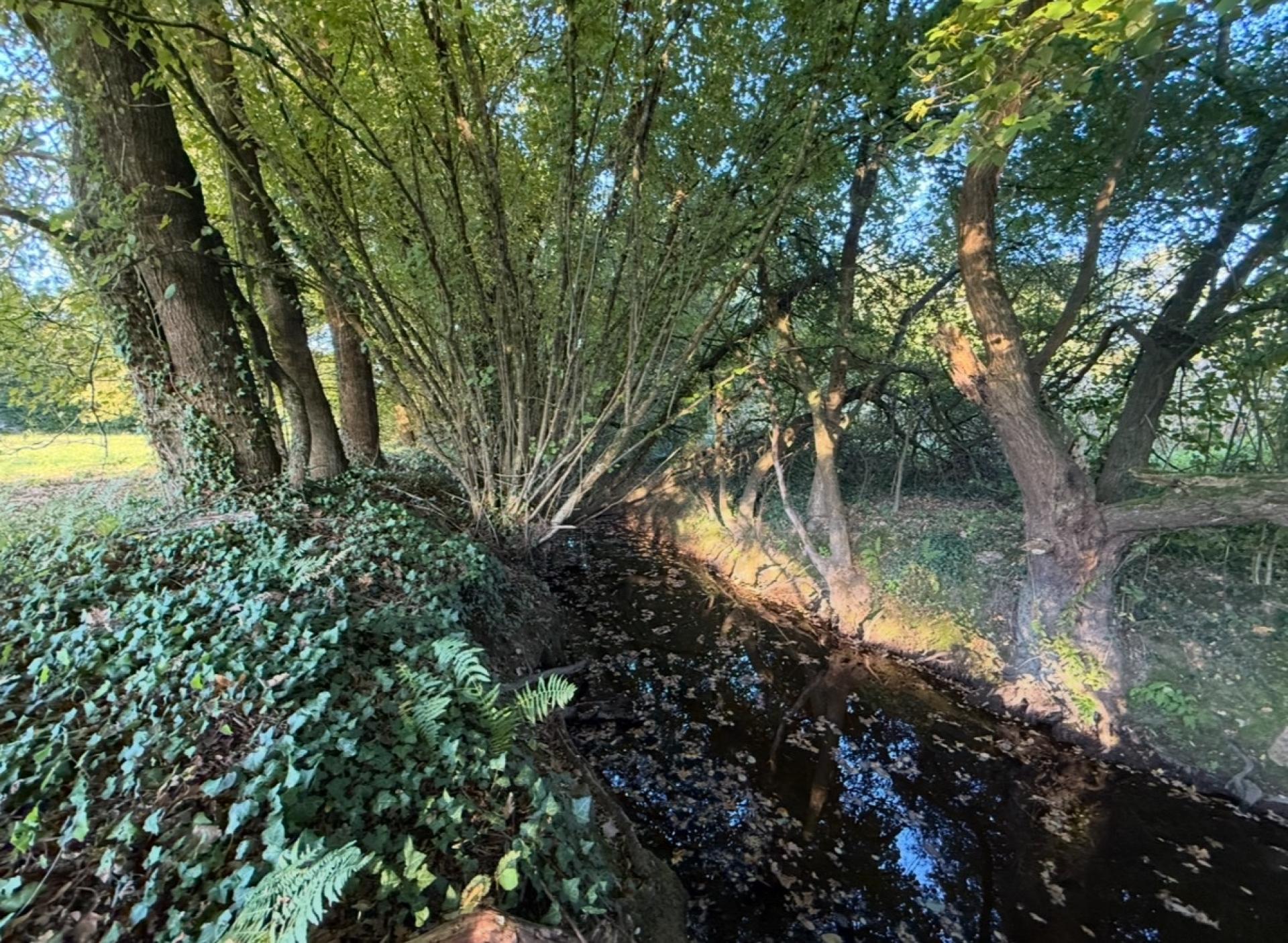 Miniature photo - 5 / 6