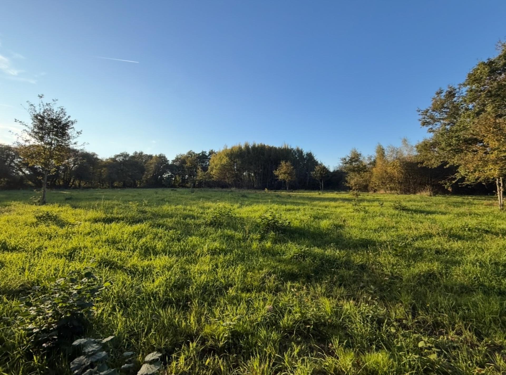 Miniature photo - 4 / 6