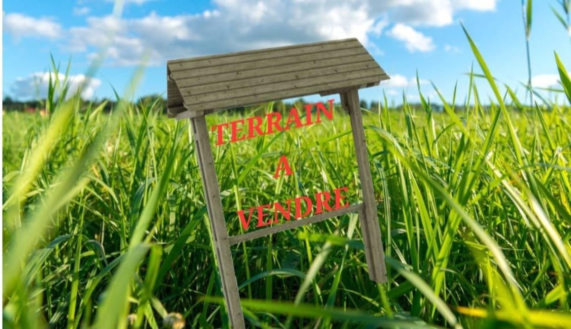 Miniature photo - 2 / 4