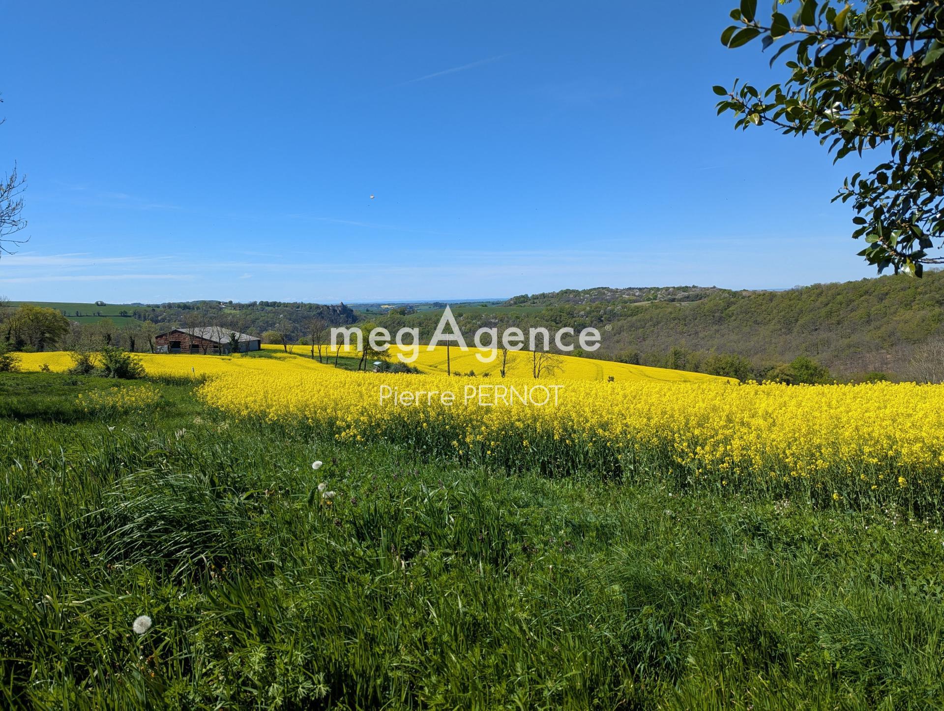 Miniature photo - 1 / 12