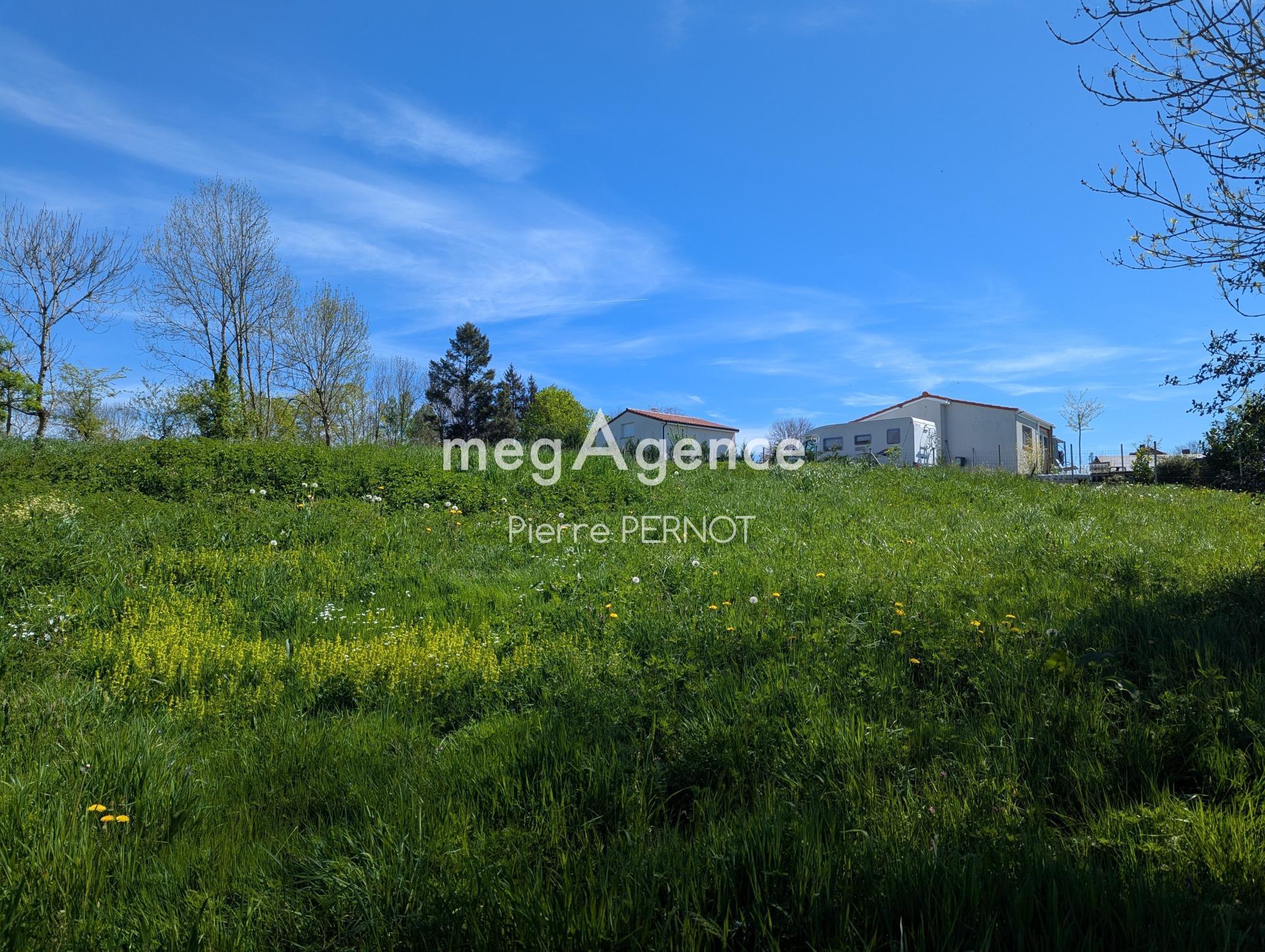 Miniature photo - 9 / 12