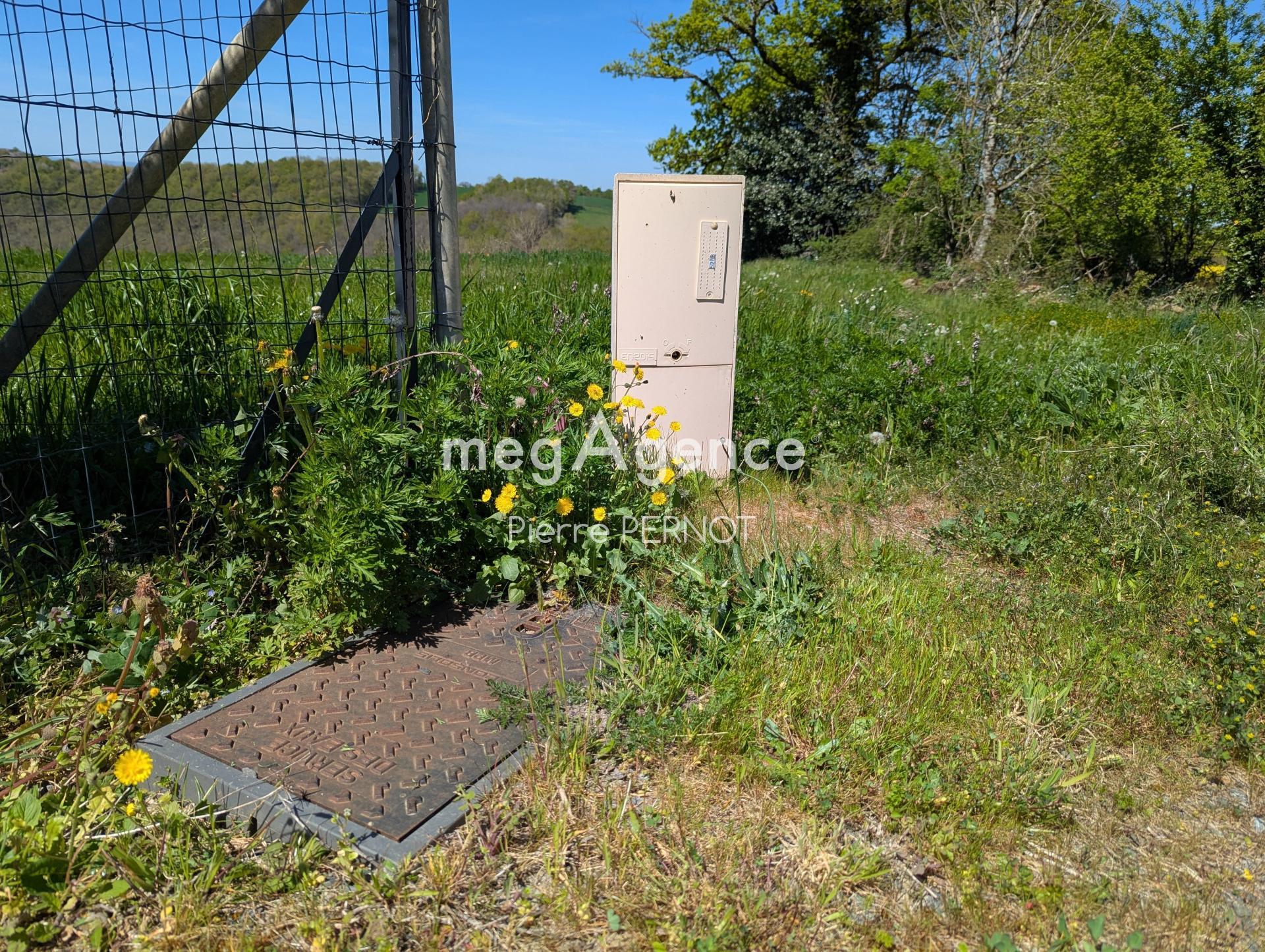 Miniature photo - 11 / 12