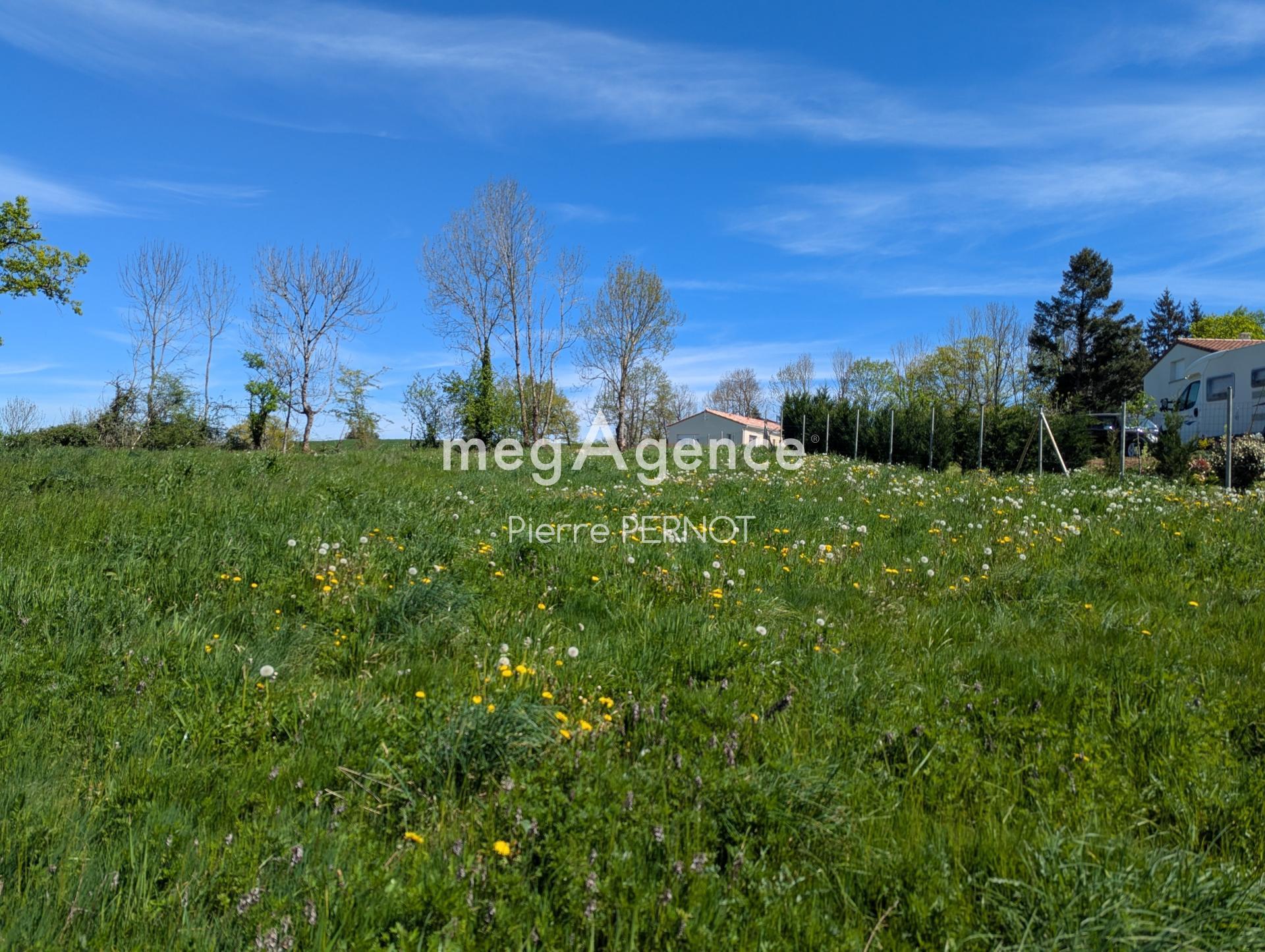 Miniature photo - 5 / 12