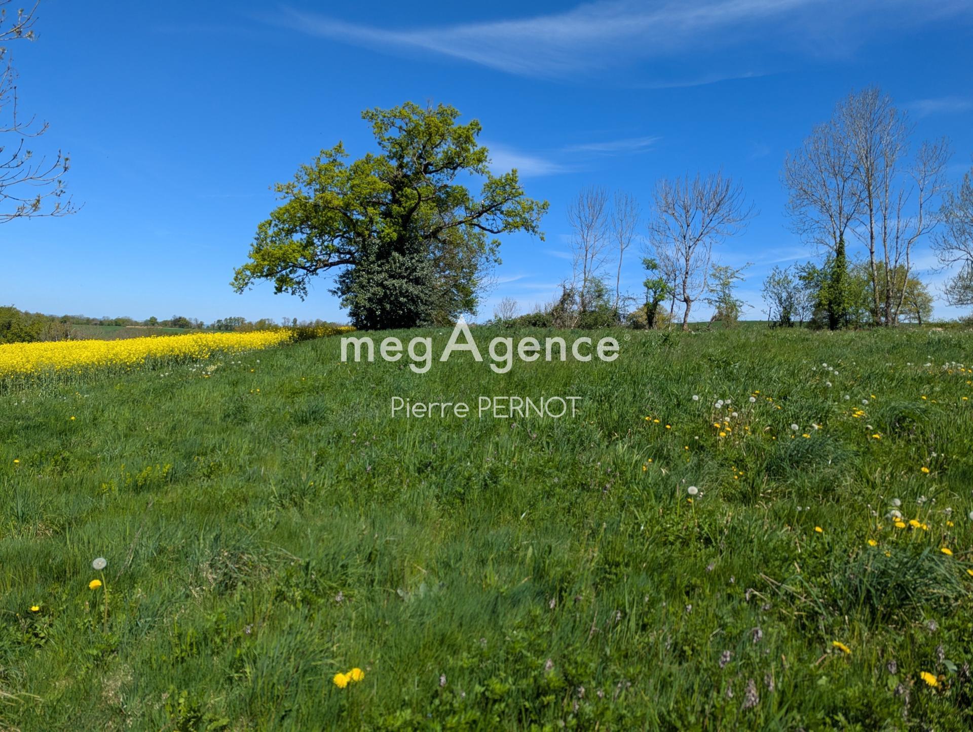 Miniature photo - 6 / 12