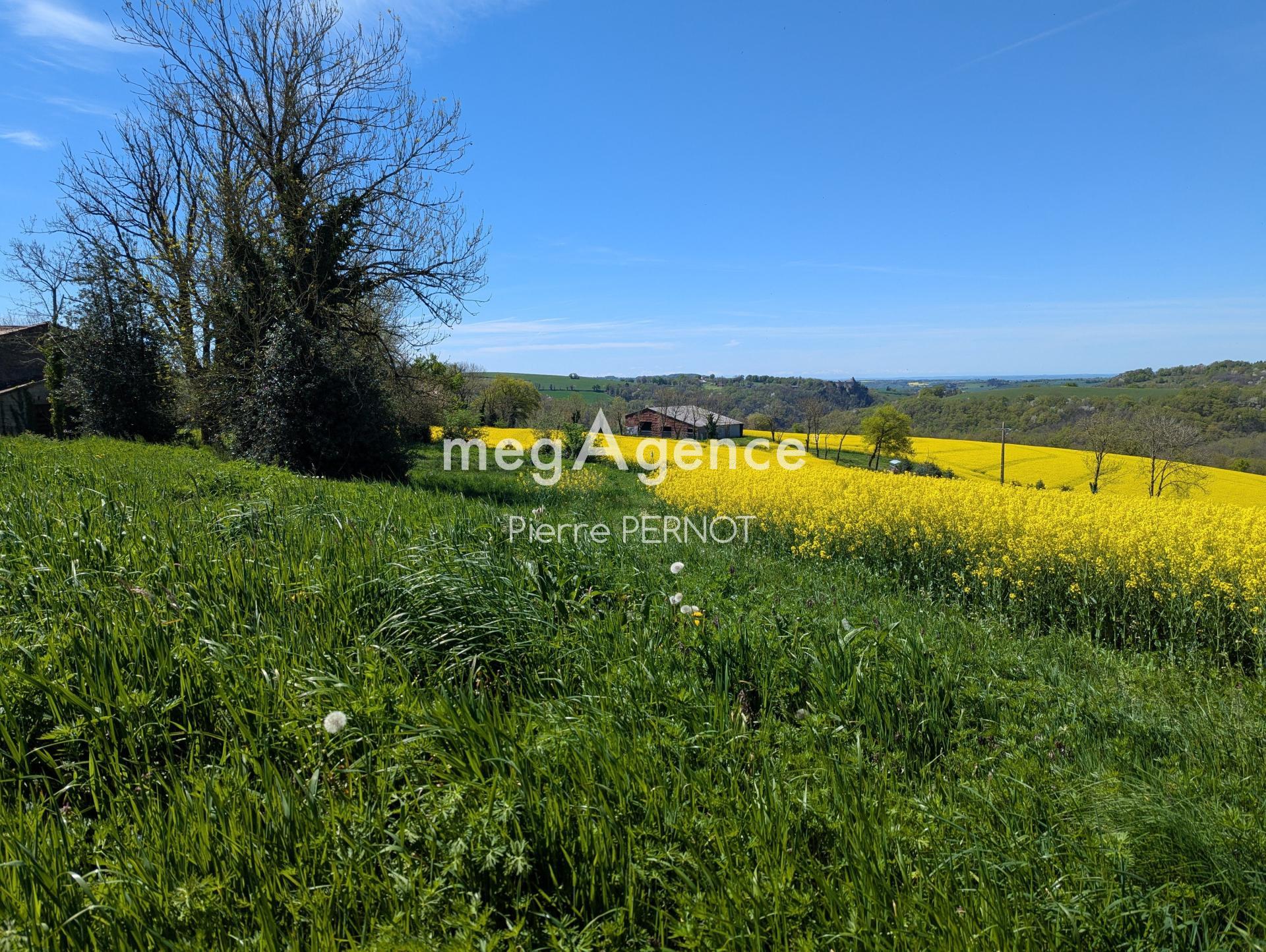 Miniature photo - 7 / 12