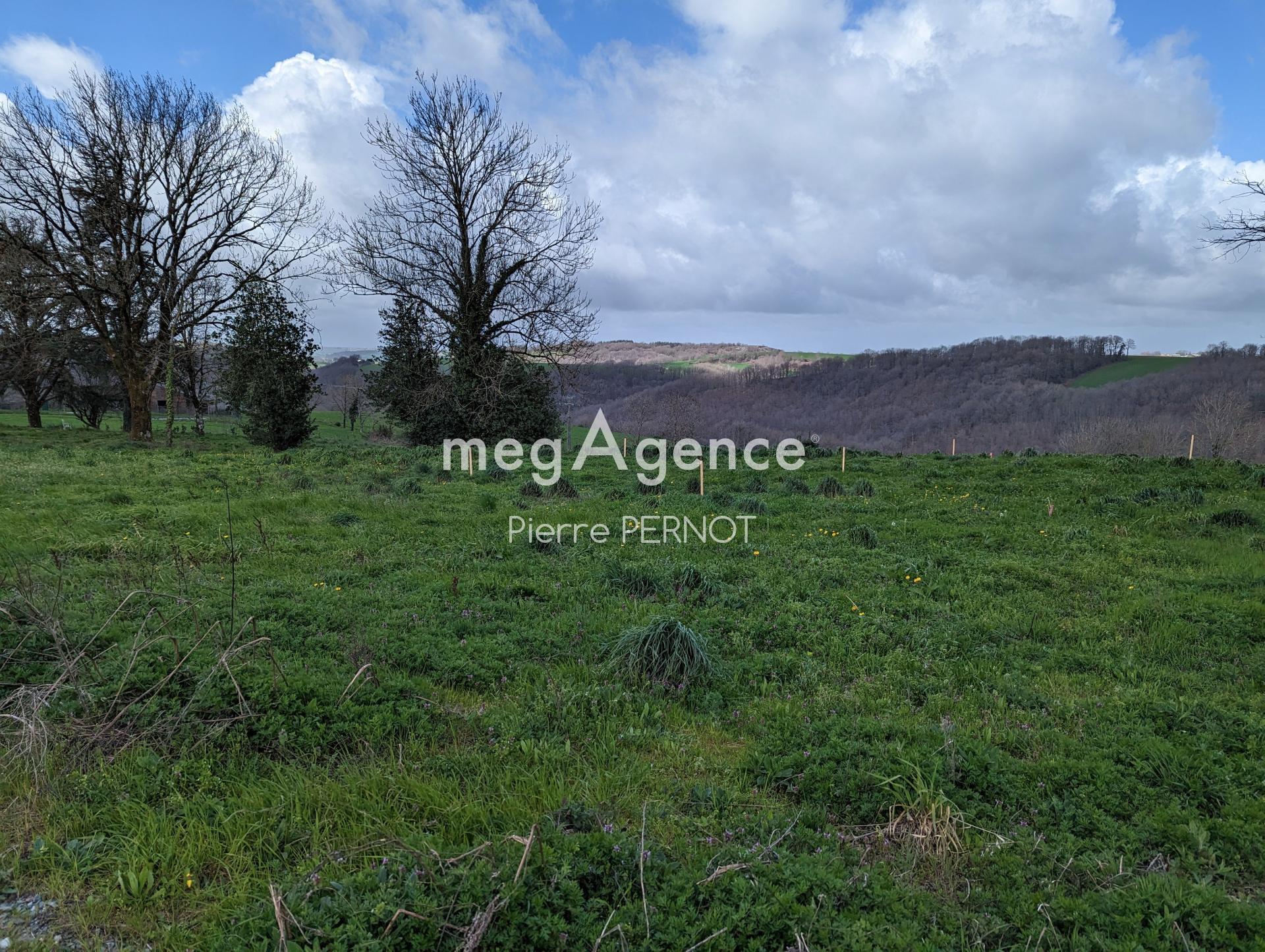 Miniature photo - 8 / 8