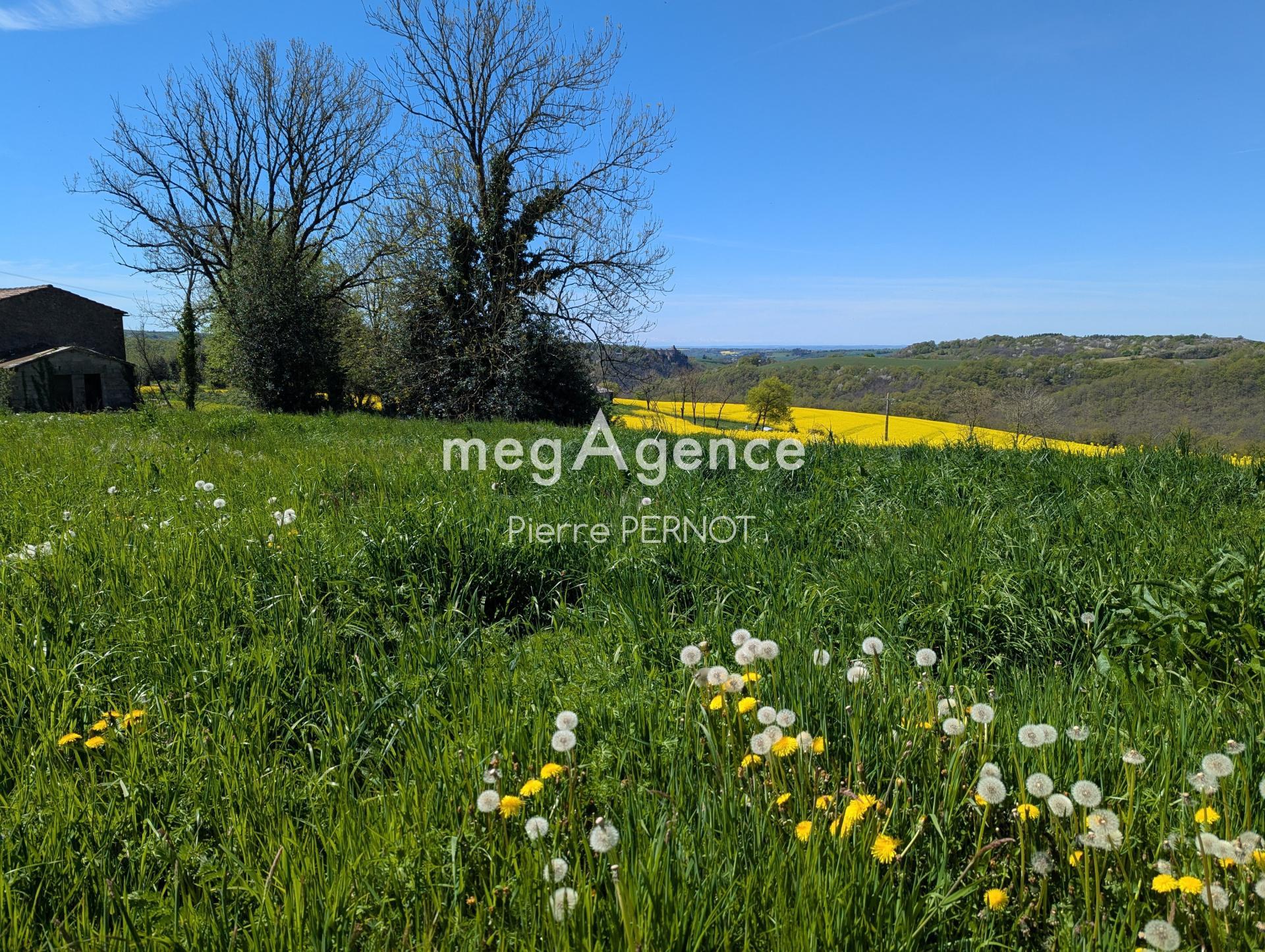 Miniature photo - 8 / 12