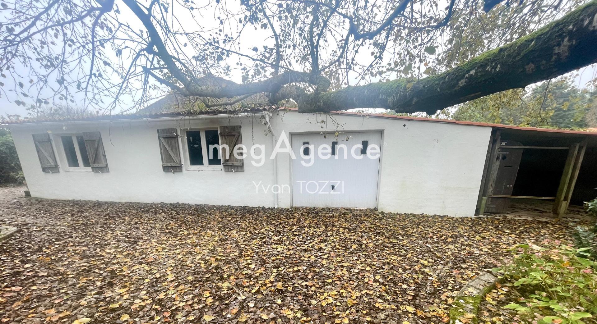 Miniature photo - 15 / 17