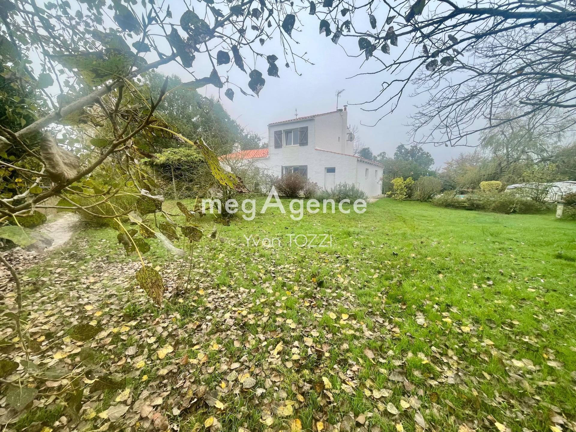 Miniature photo - 4 / 17