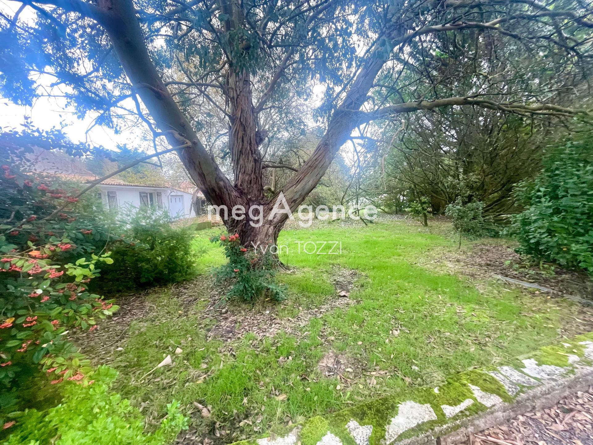 Miniature photo - 16 / 17