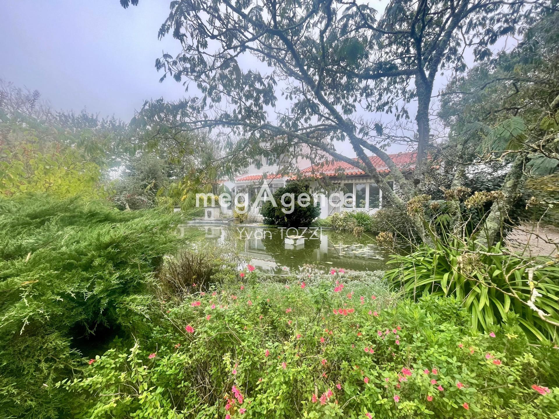 Miniature photo - 2 / 17