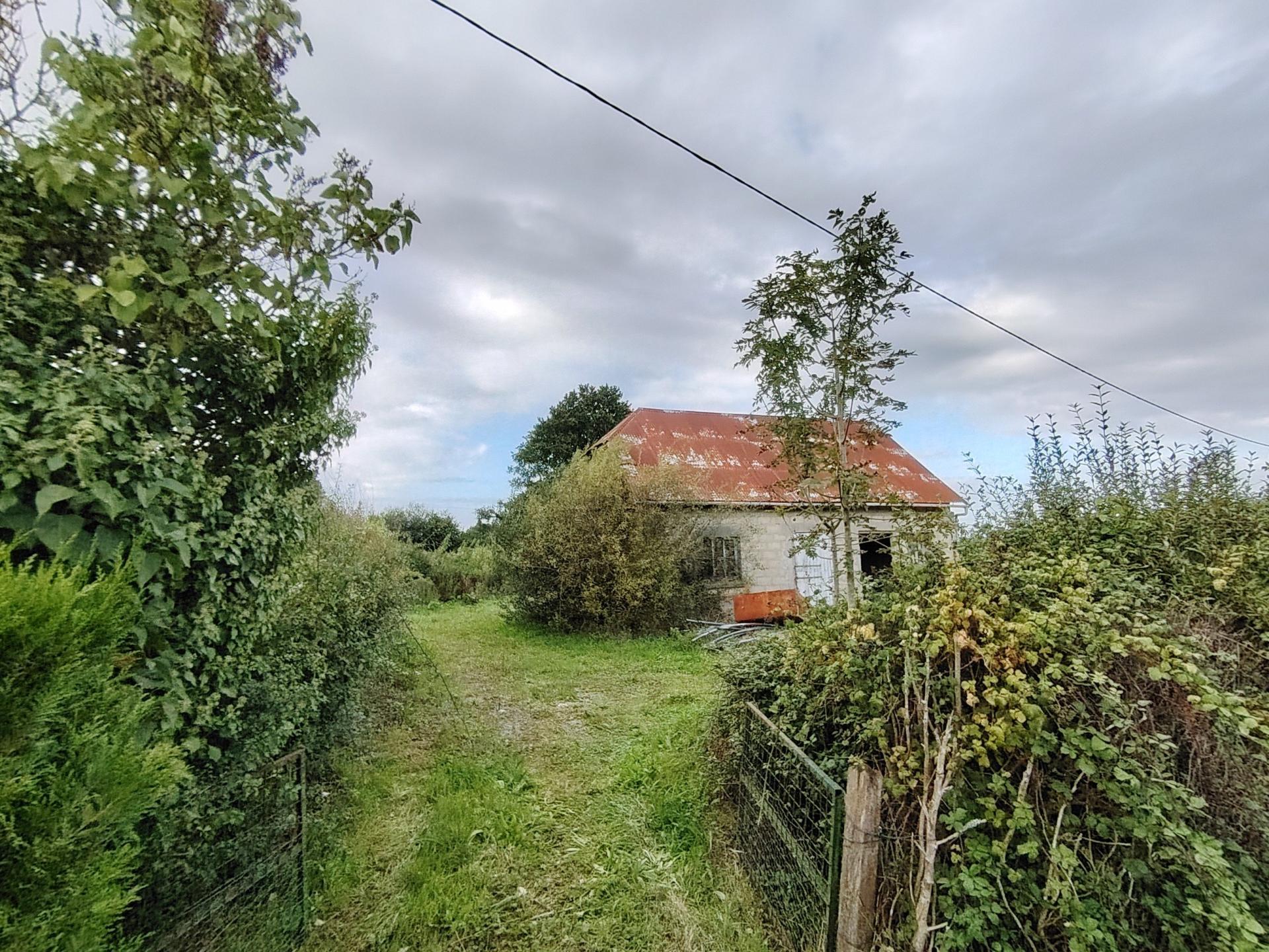 Miniature photo - 4 / 19