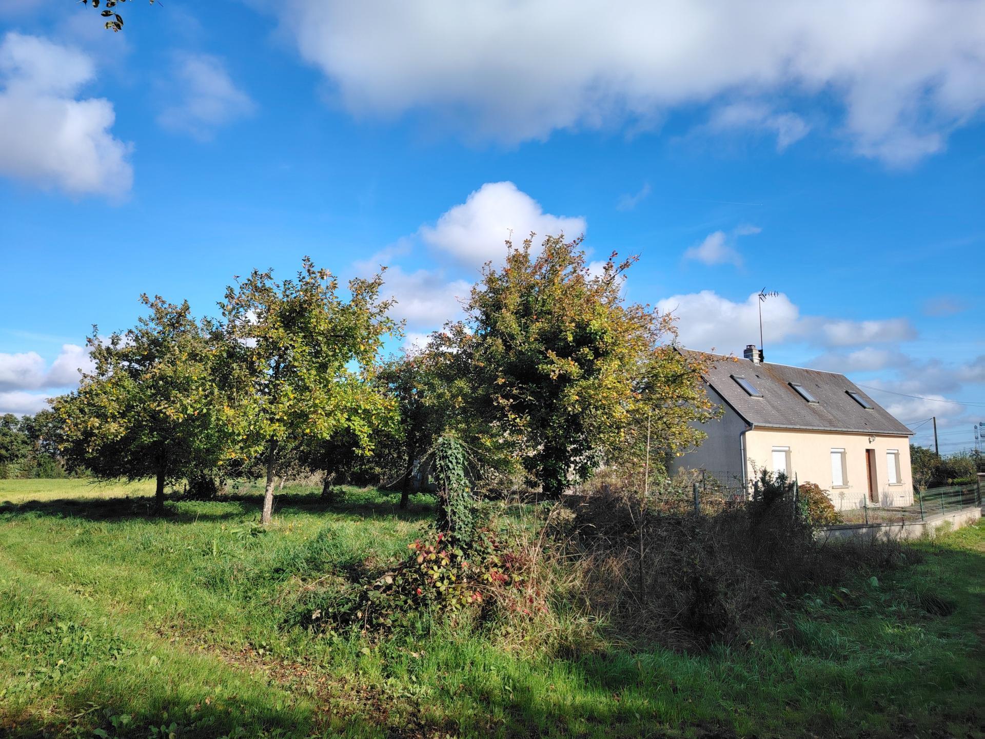 Miniature photo - 2 / 19