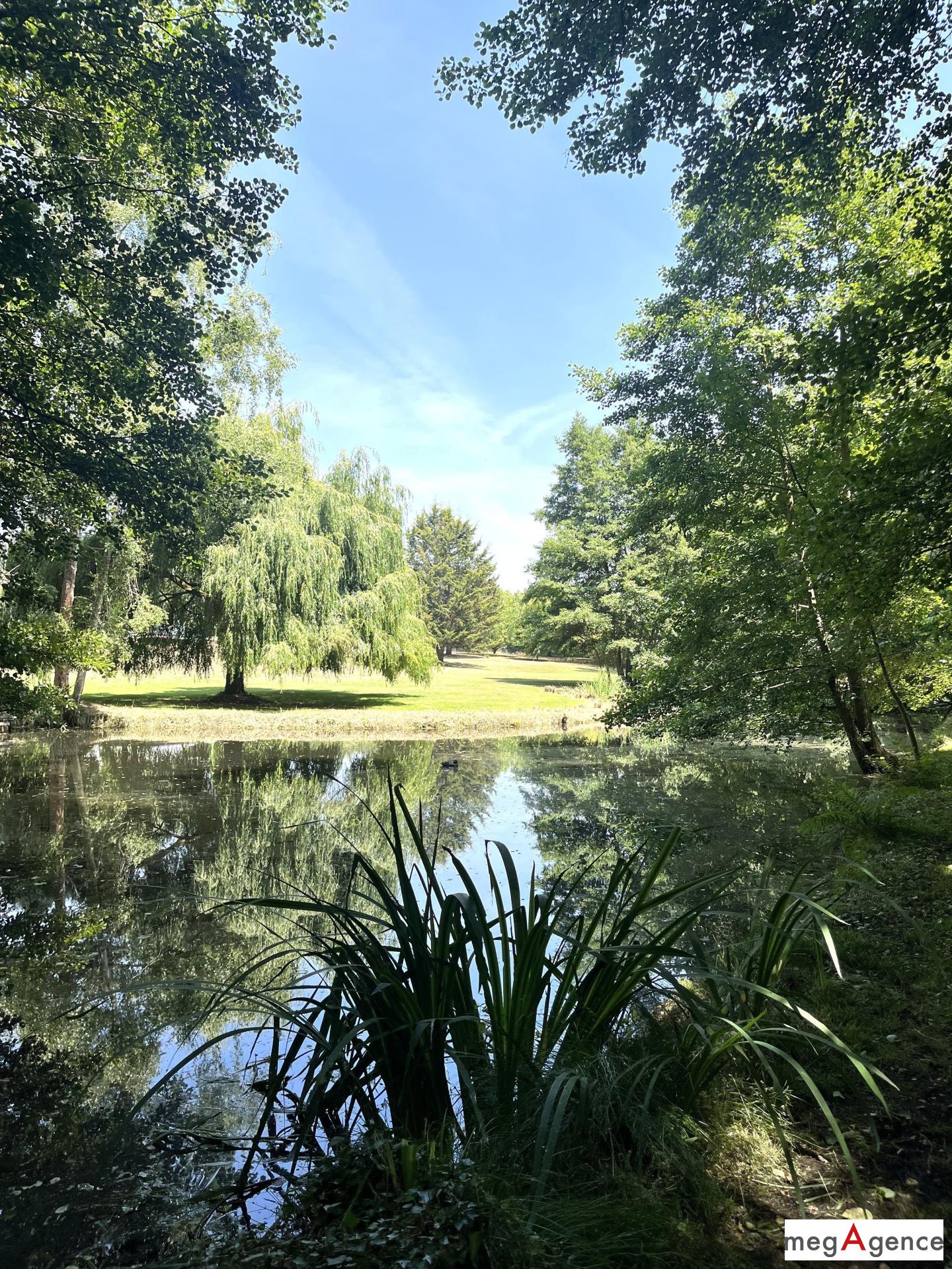 Miniature photo - 9 / 9