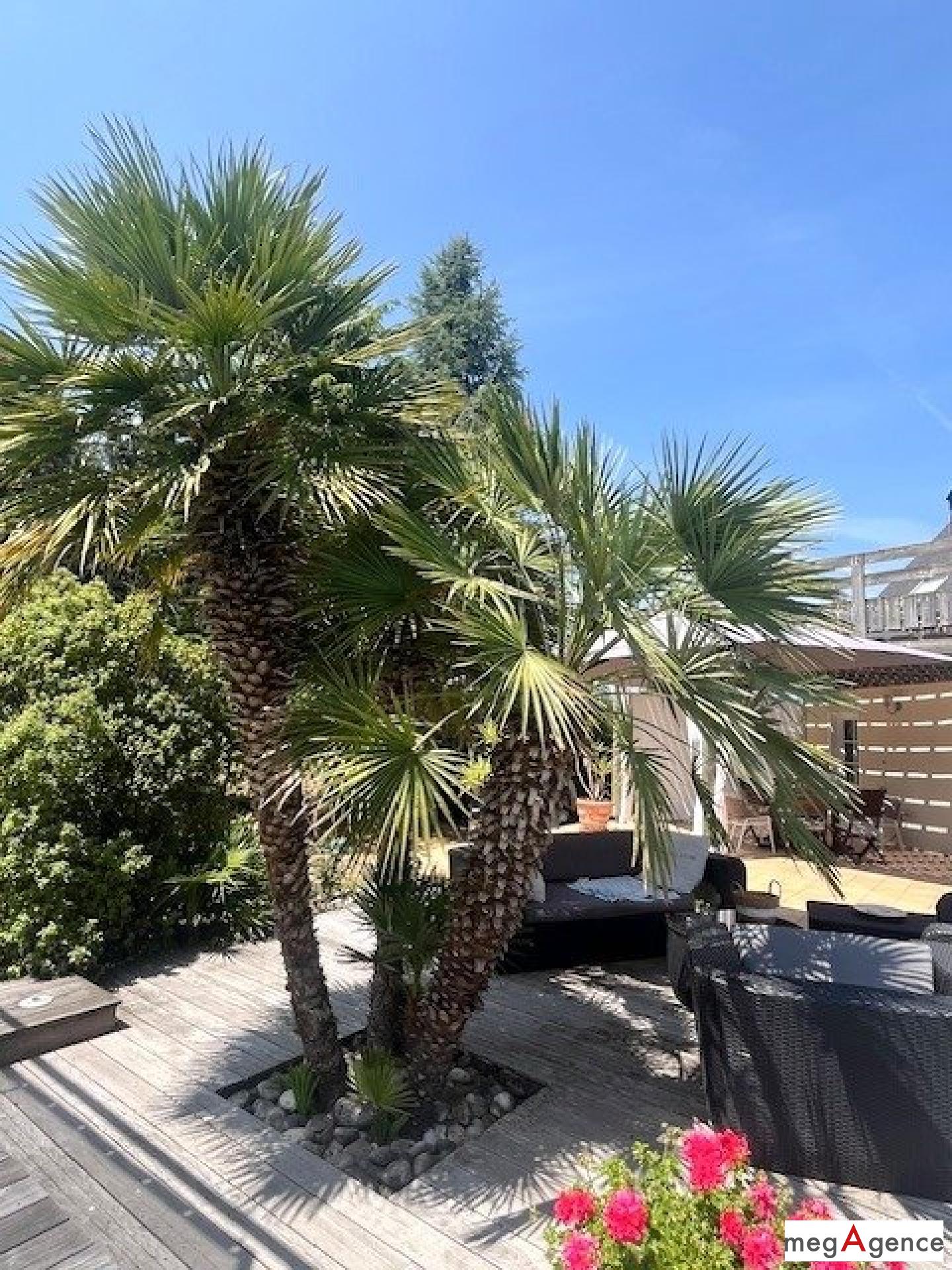 Miniature photo - 6 / 9