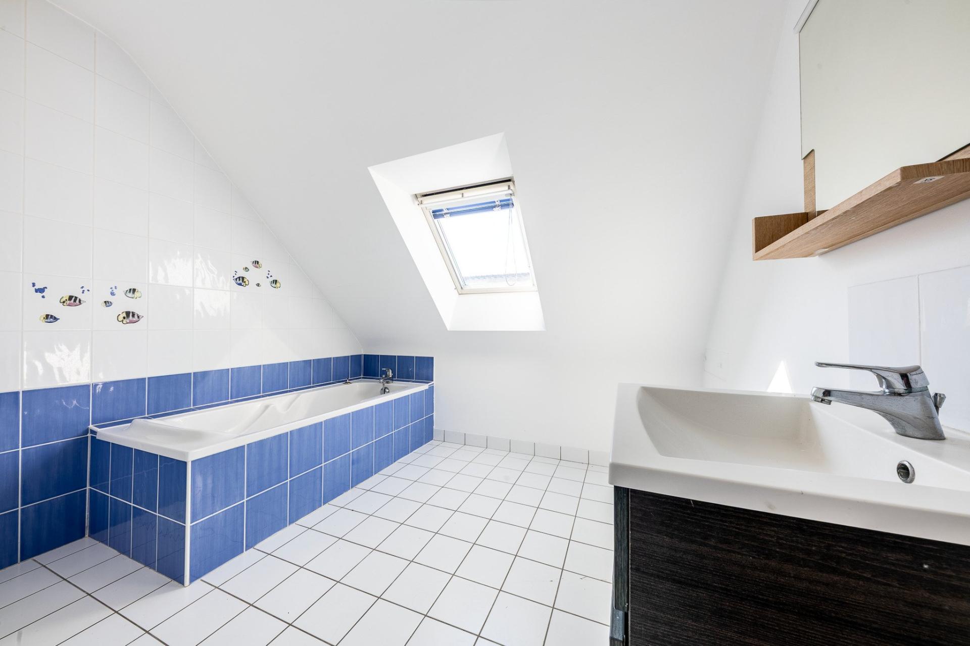 Miniature photo - 12 / 14