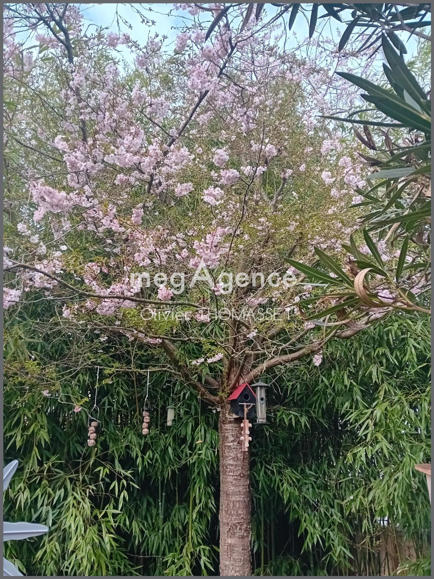 Miniature photo - 10 / 10