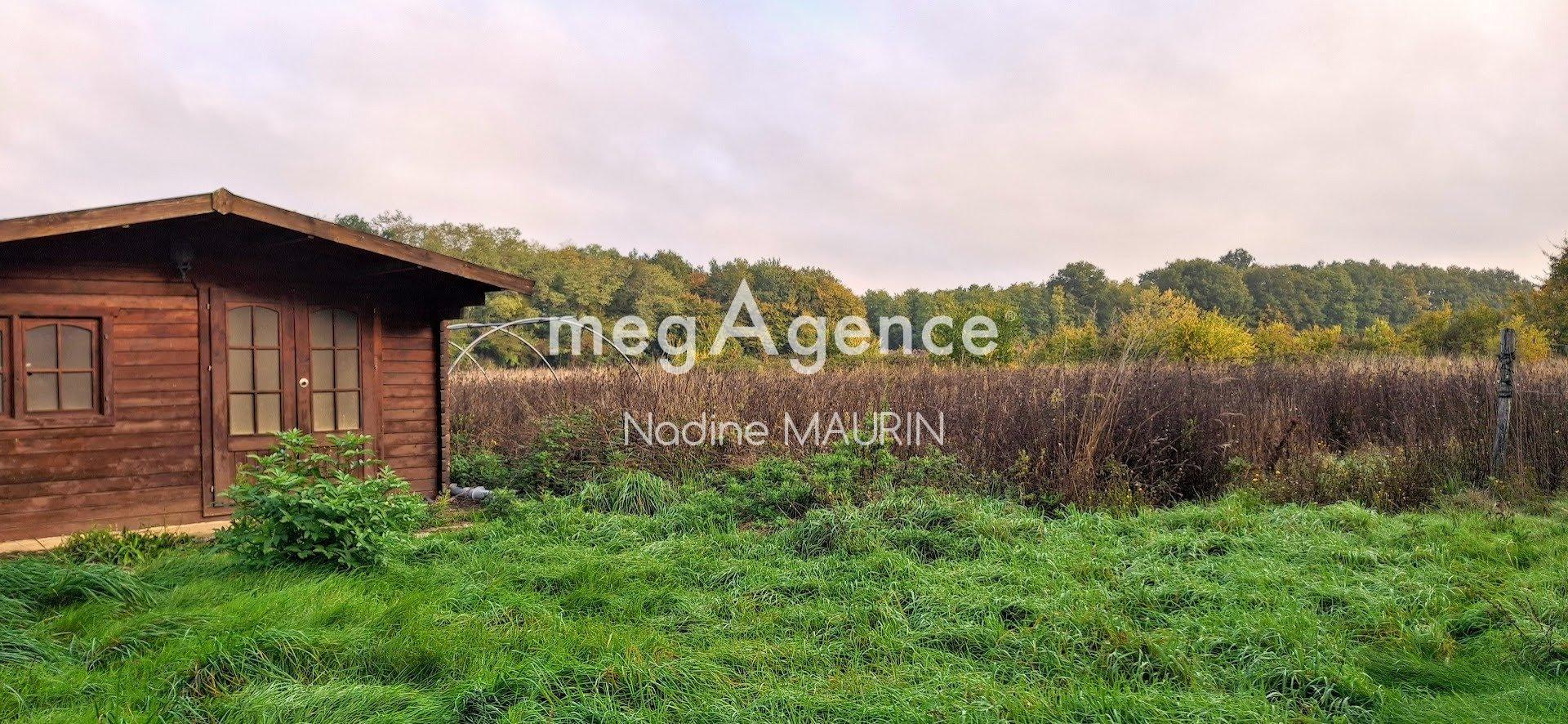 Miniature photo - 3 / 8