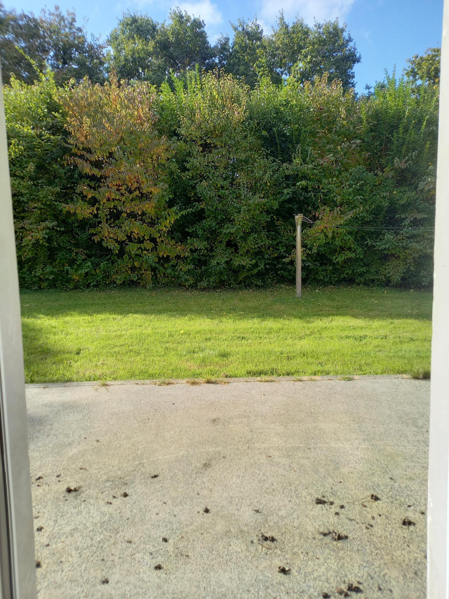 Miniature photo - 6 / 15