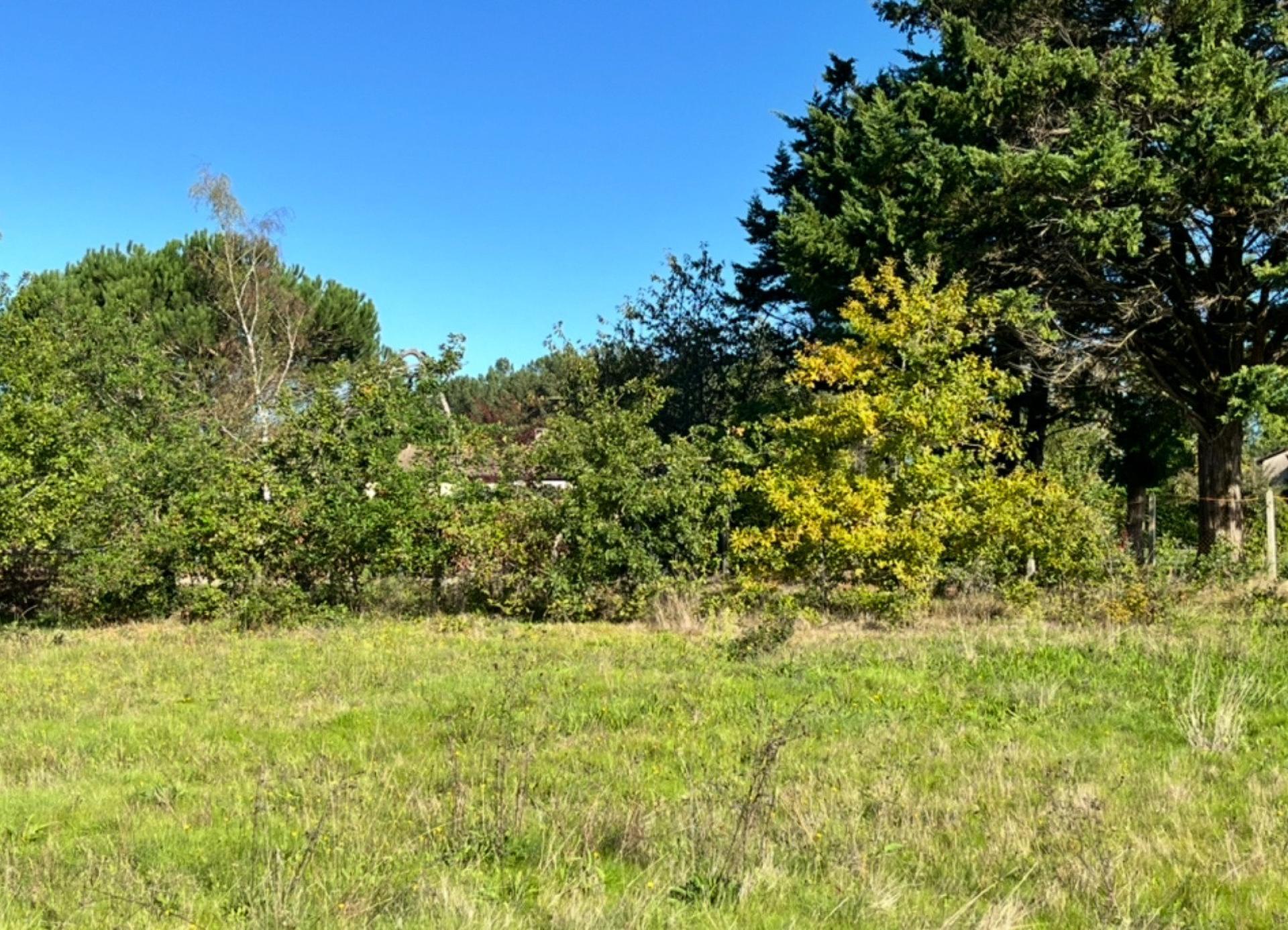 Photographie descriptive du bien