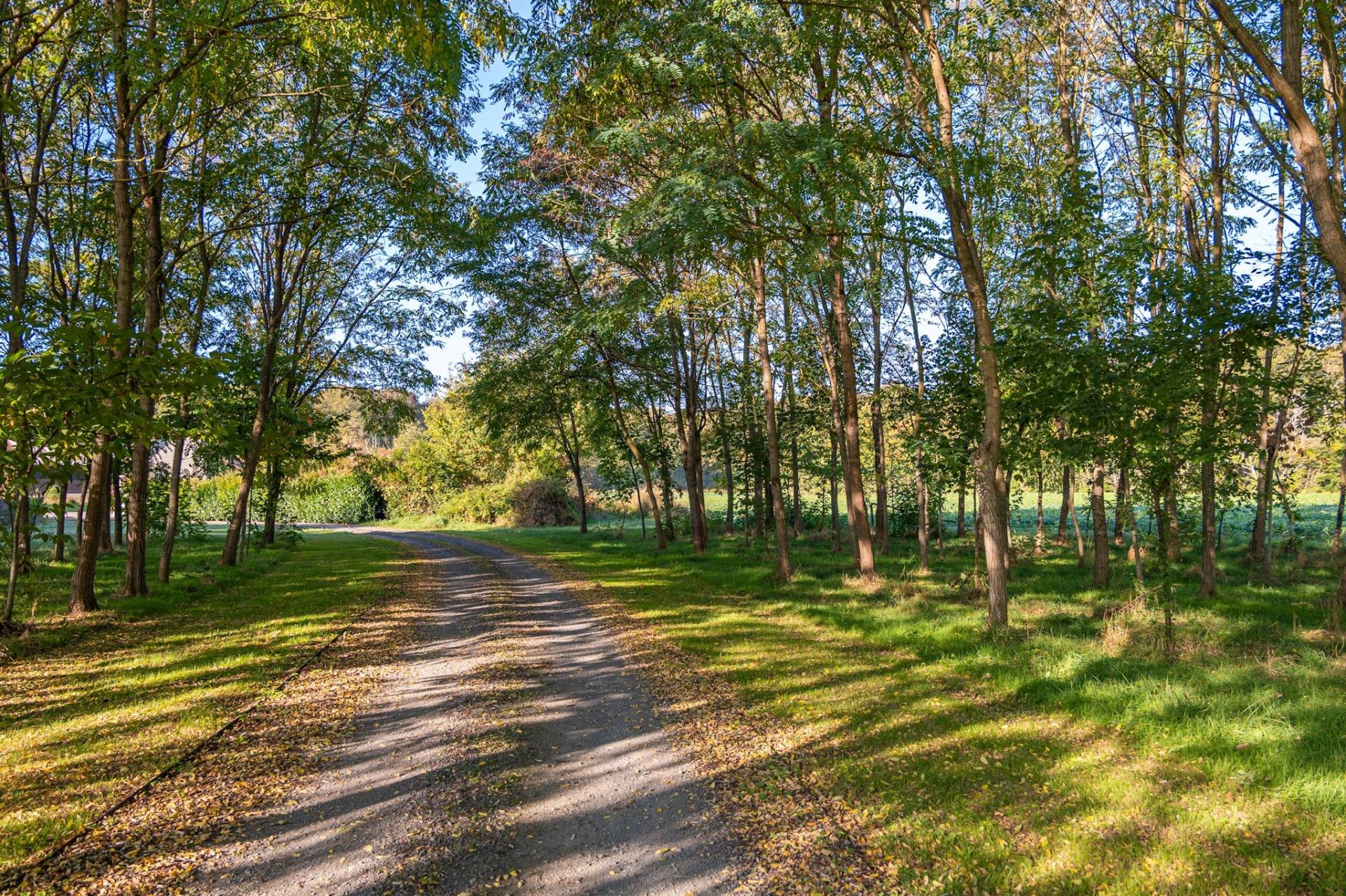 Miniature photo - 16 / 19