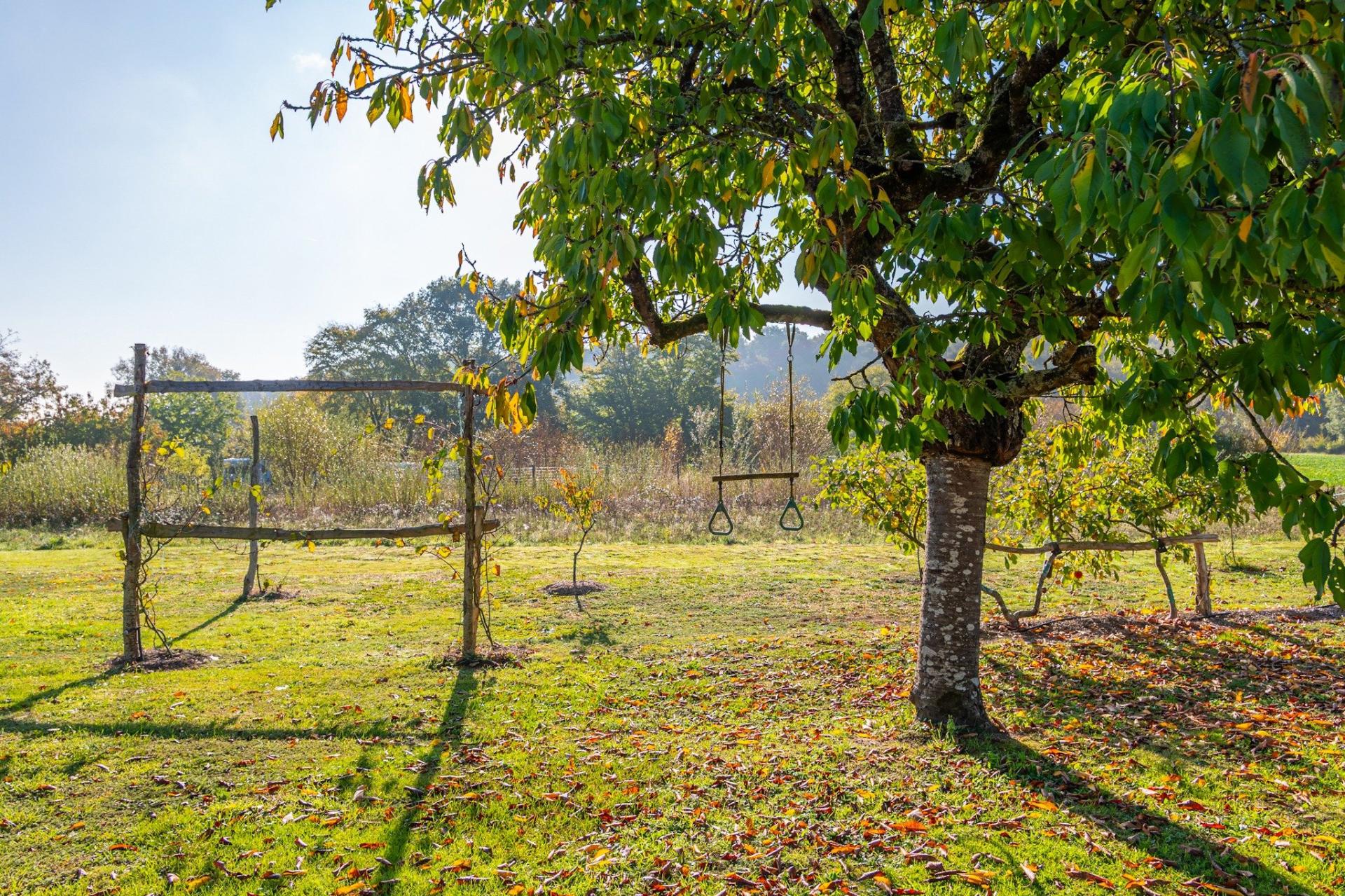 Miniature photo - 19 / 19