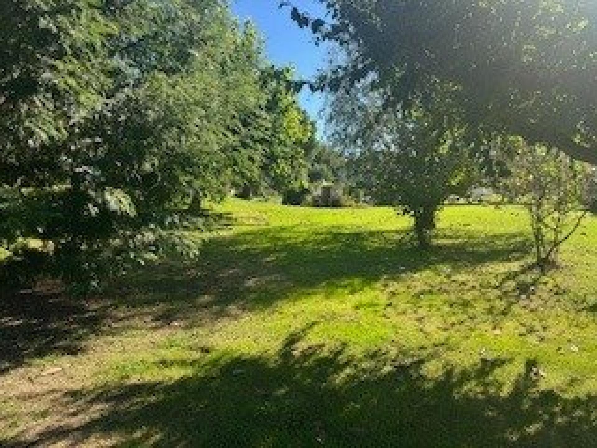 Miniature photo - 6 / 13