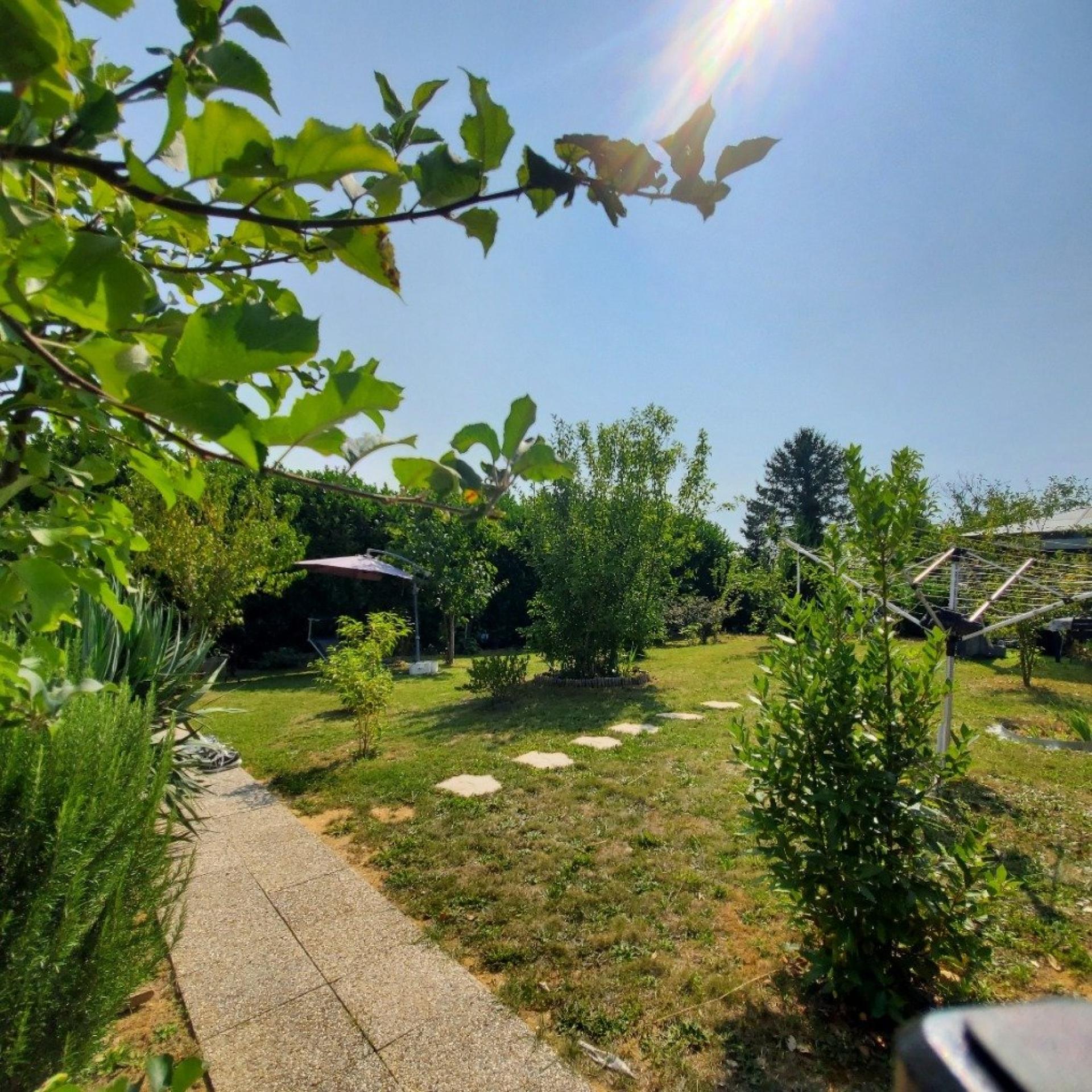 Miniature photo - 6 / 6