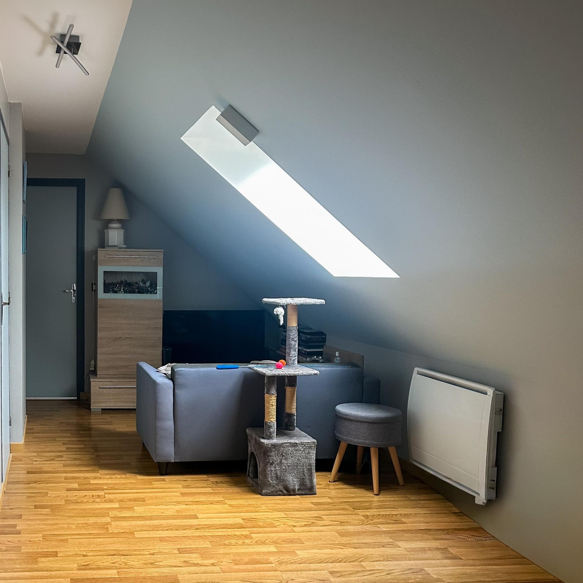 Miniature photo - 9 / 11