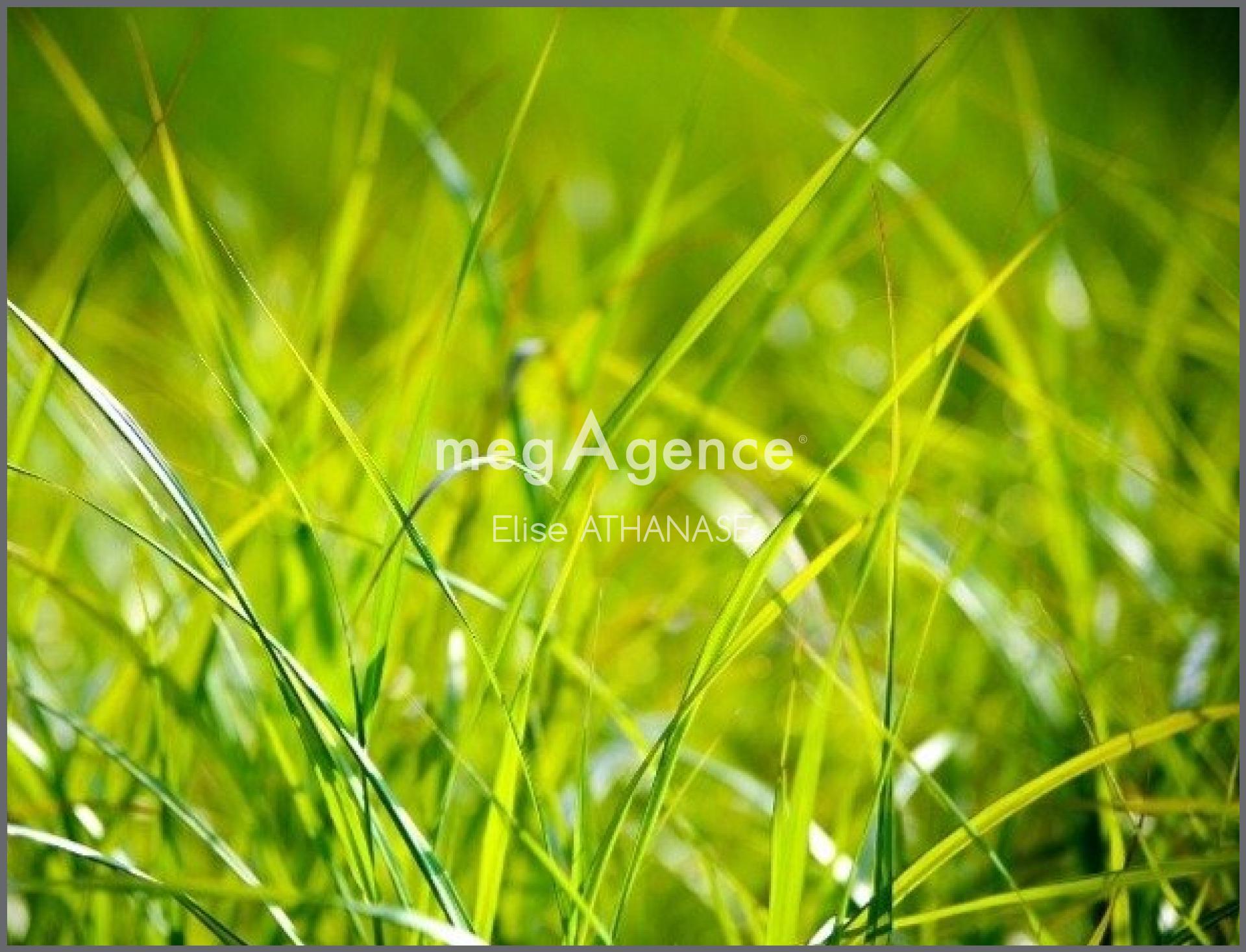 Photographie descriptive du bien