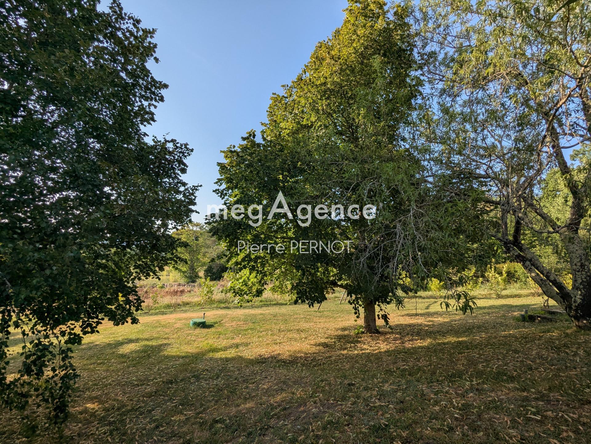 Miniature photo - 14 / 18