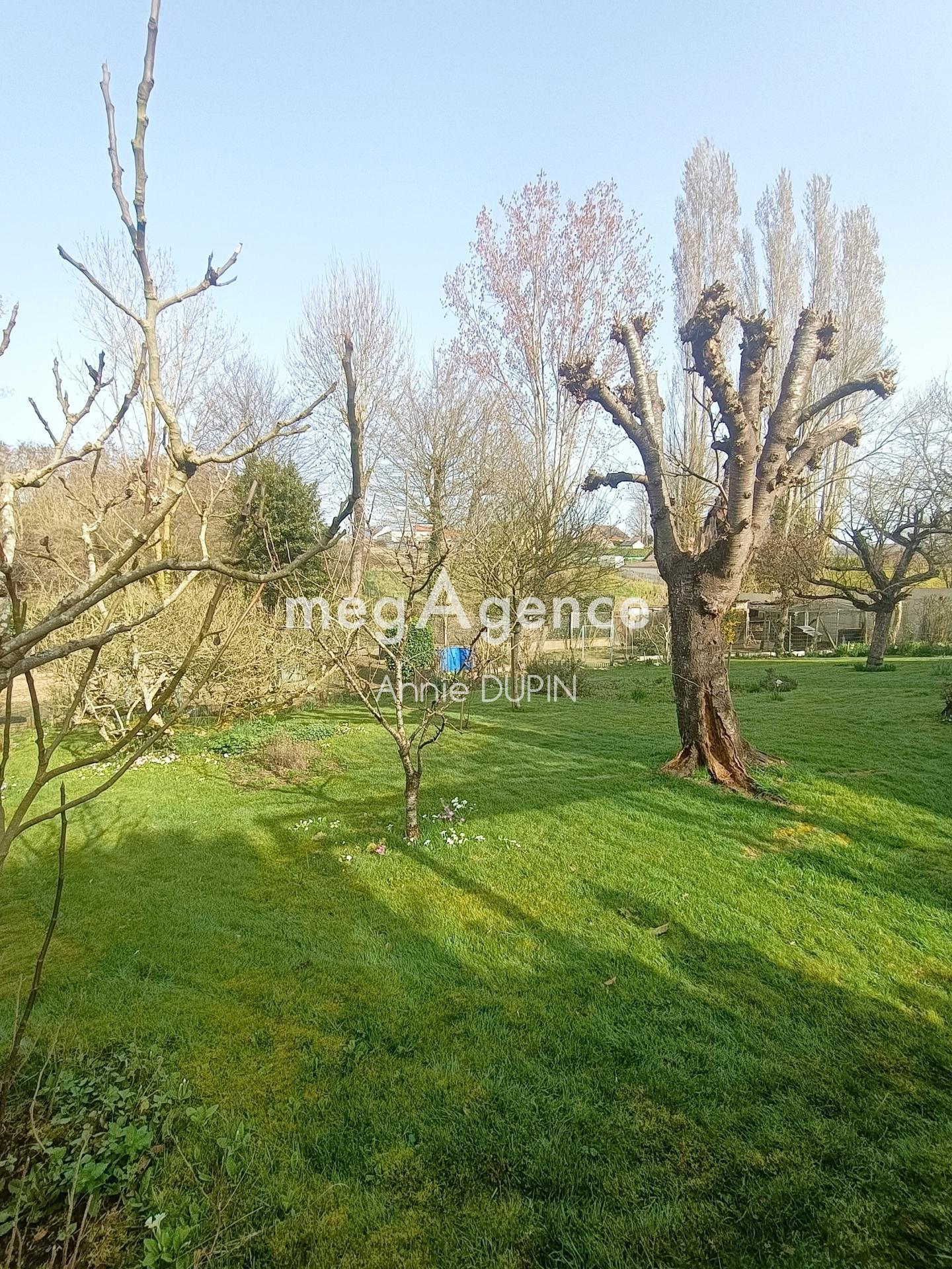 Miniature photo - 12 / 12