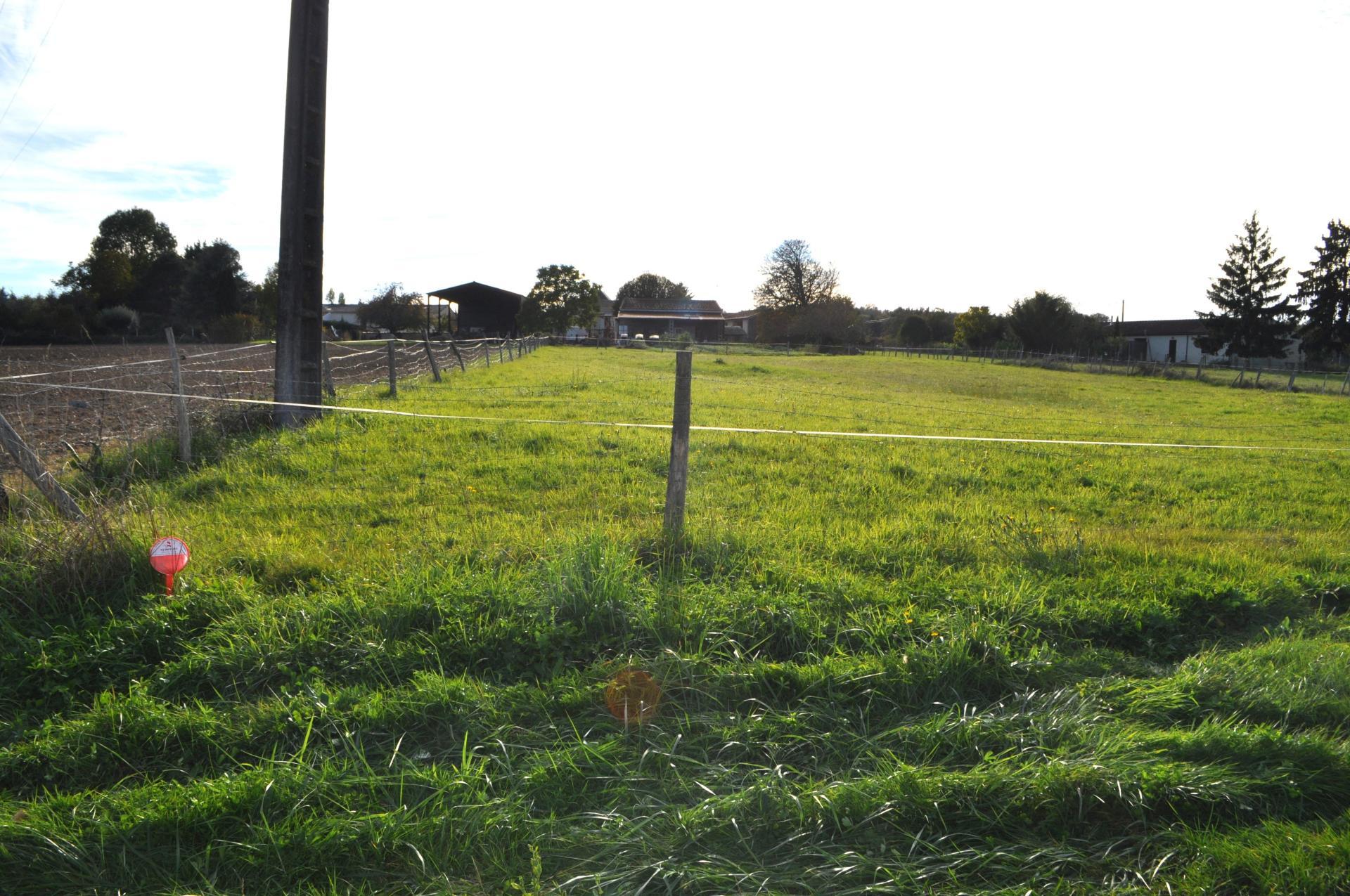 Miniature photo - 5 / 6